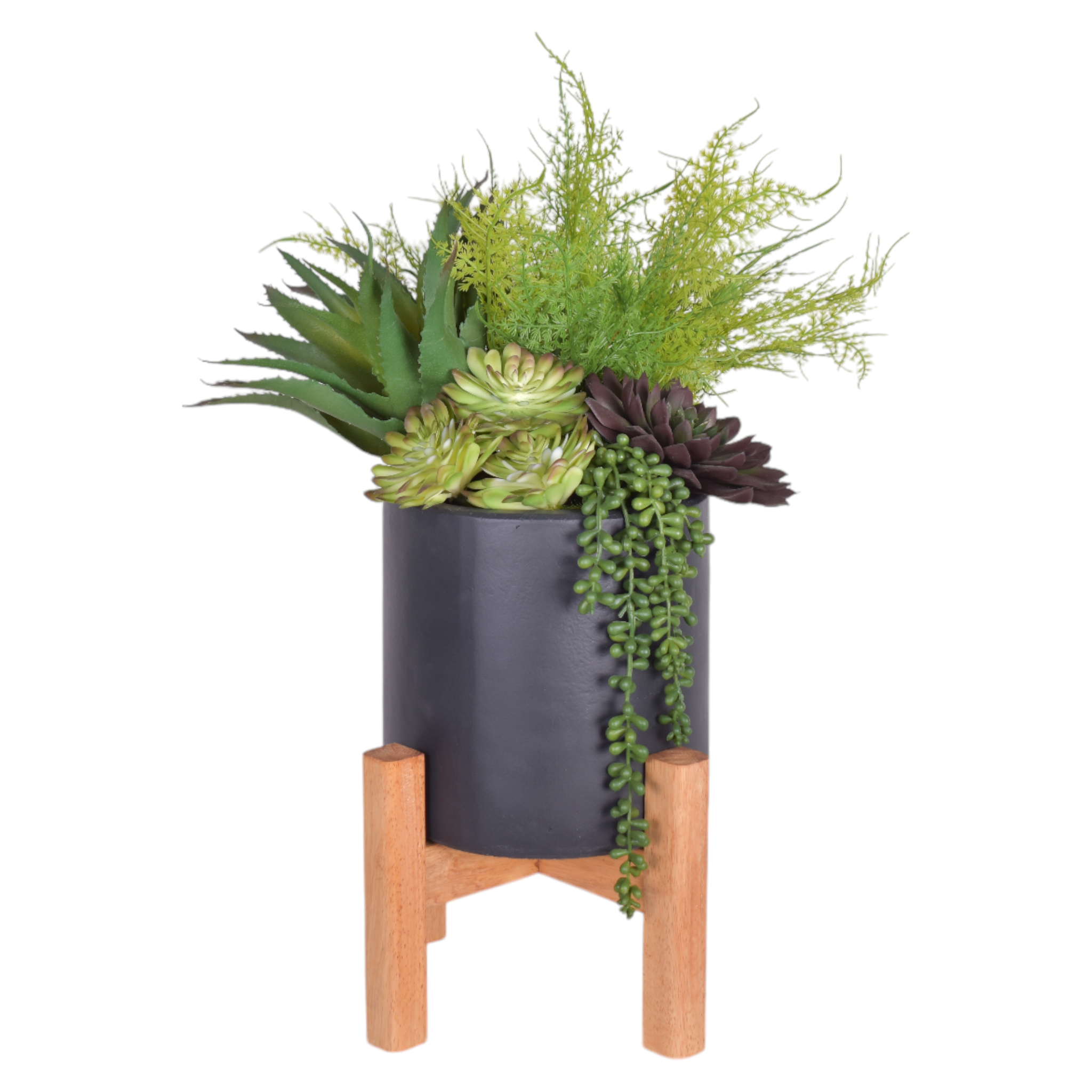 9" Korynn Planter with Succulent Arrangement   AR1420