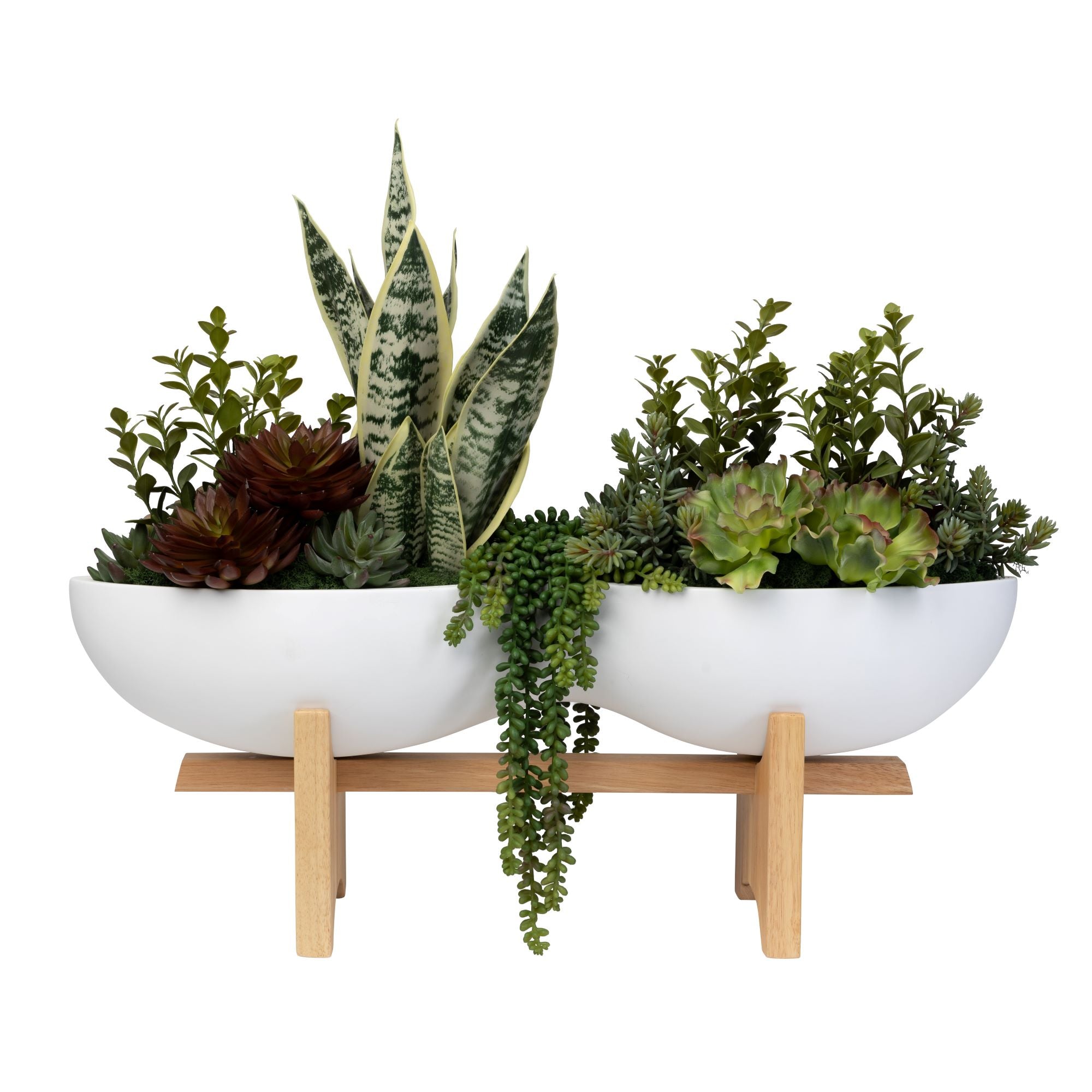 29" Remington Planter with Succulent Arrangement   AR1435