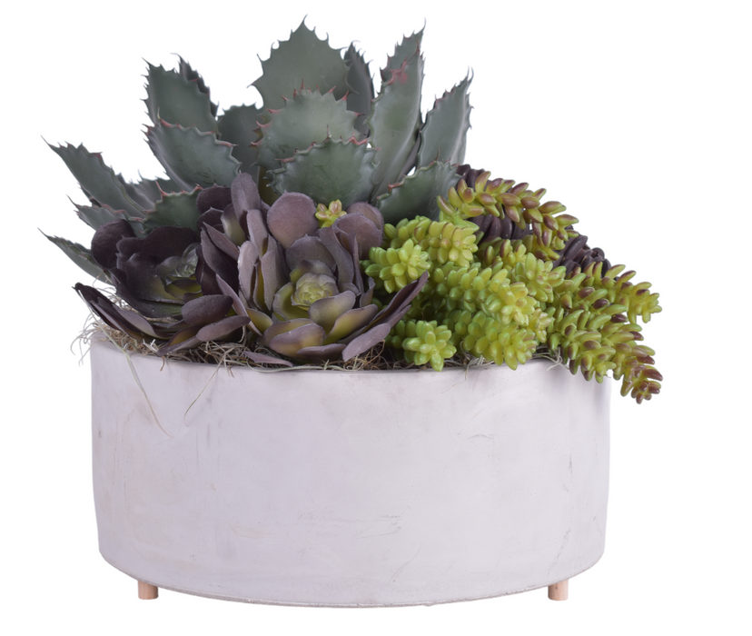 12" Corbin Bowl With Succulent Arrangement   AR1441