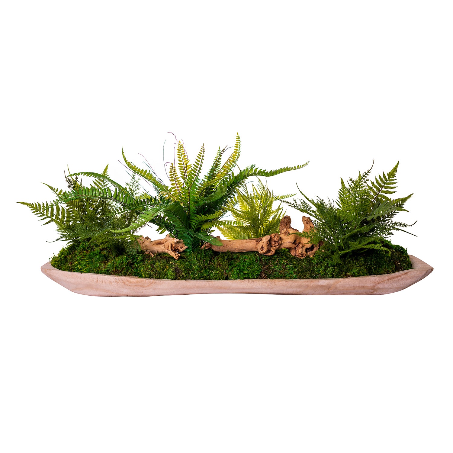 36” Sedona Wood Tray Planter with Fern Arrangement   AR1493