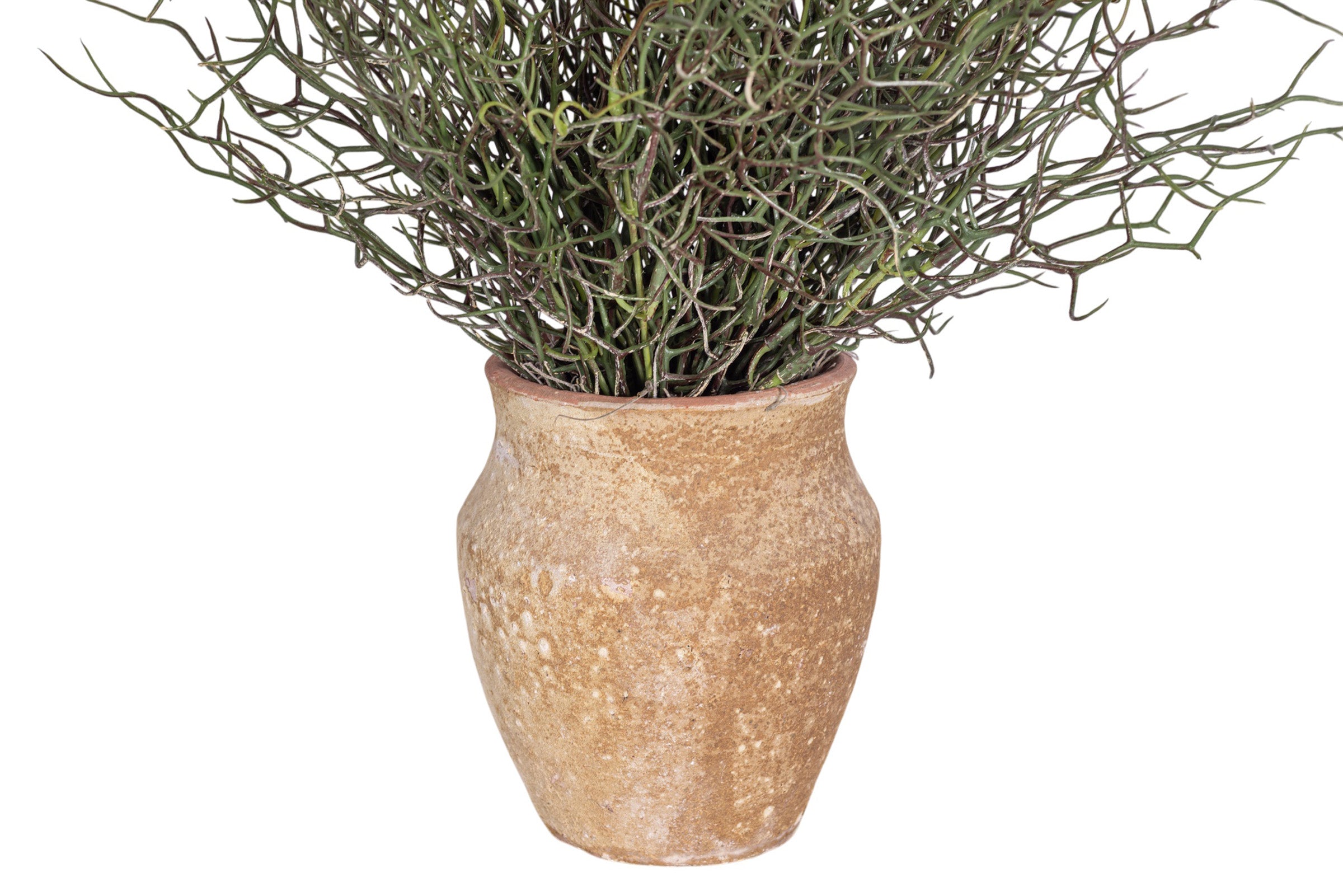 6" Titan Pot with Grass Arrangement