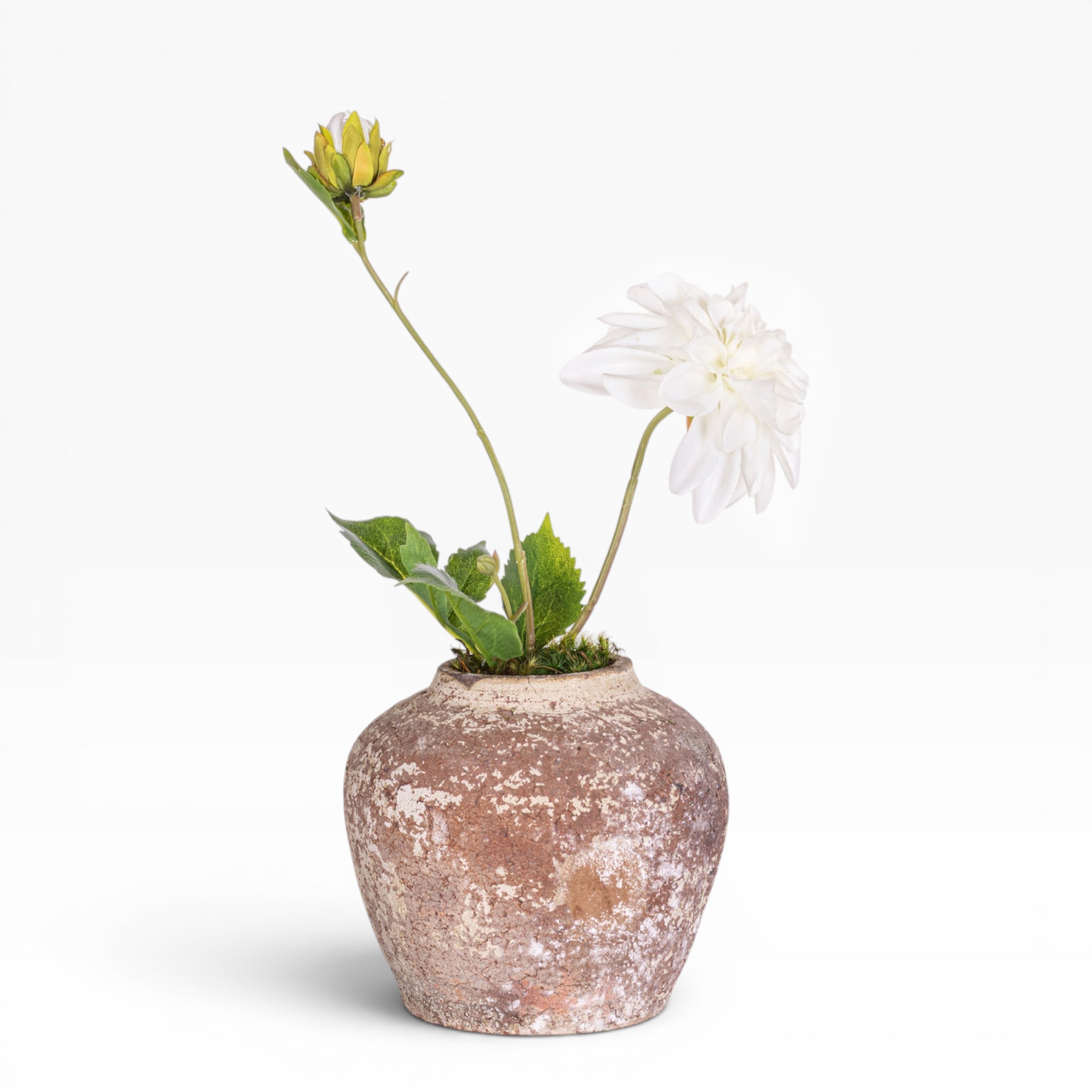 6" Haley Pot with Floral Arrangement