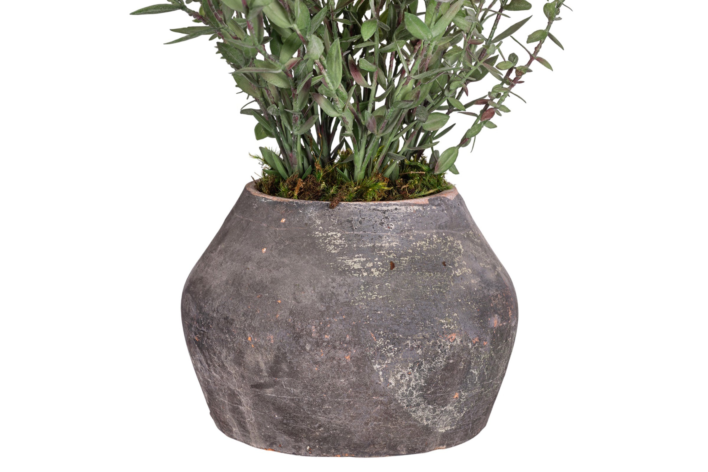 7" Bodie Pot with Greenery Arrangement