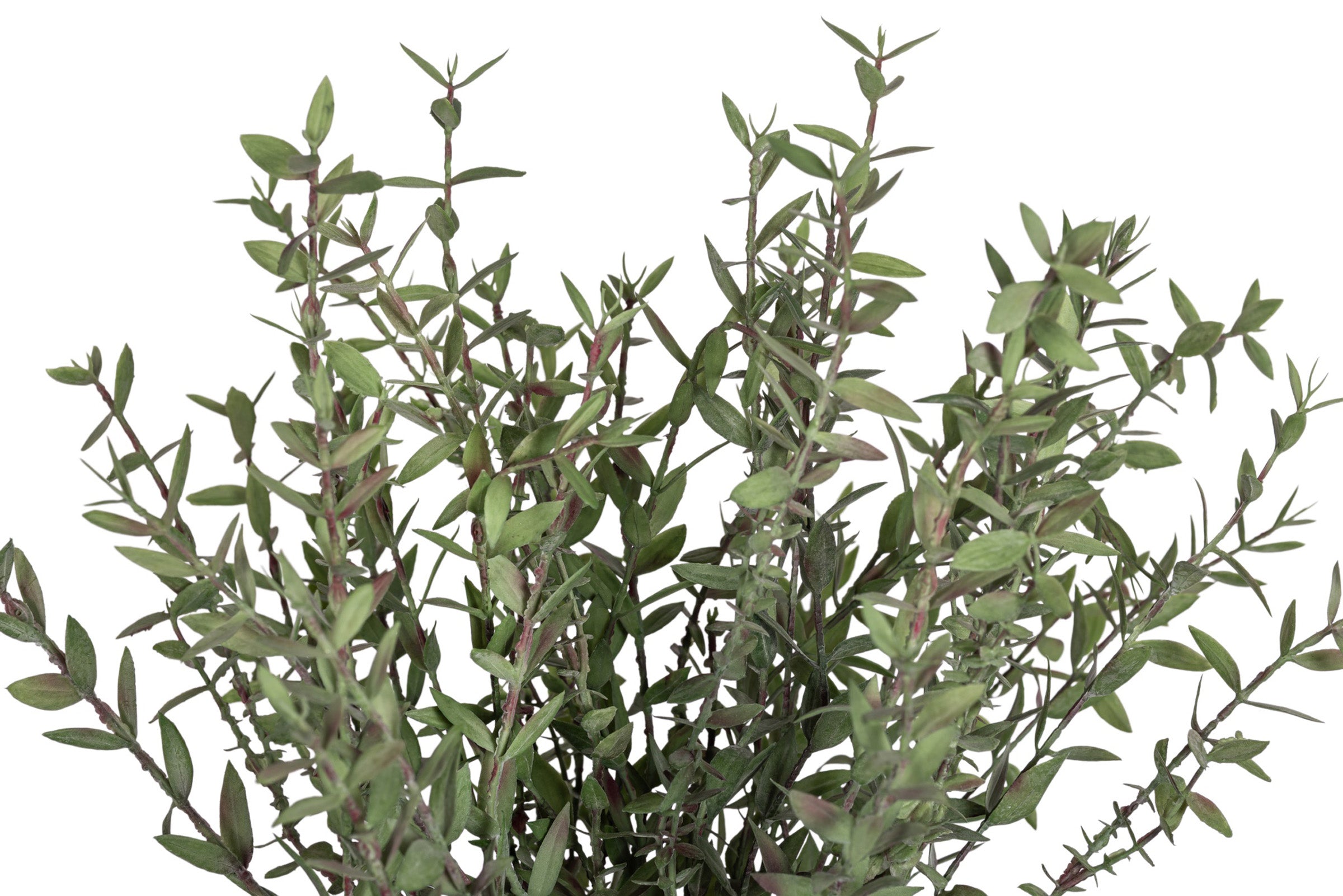 7" Bodie Pot with Greenery Arrangement