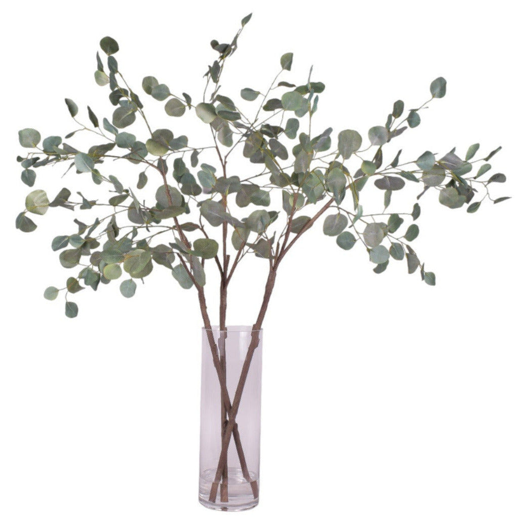 Eucalyptus Stem Arrangement in 18" Mazzy Vase    AR1553