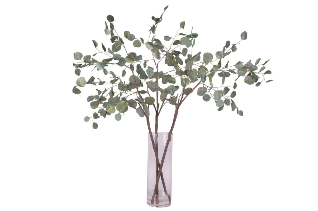 Eucalyptus Stem Arrangement in 18" Mazzy Vase    AR1553