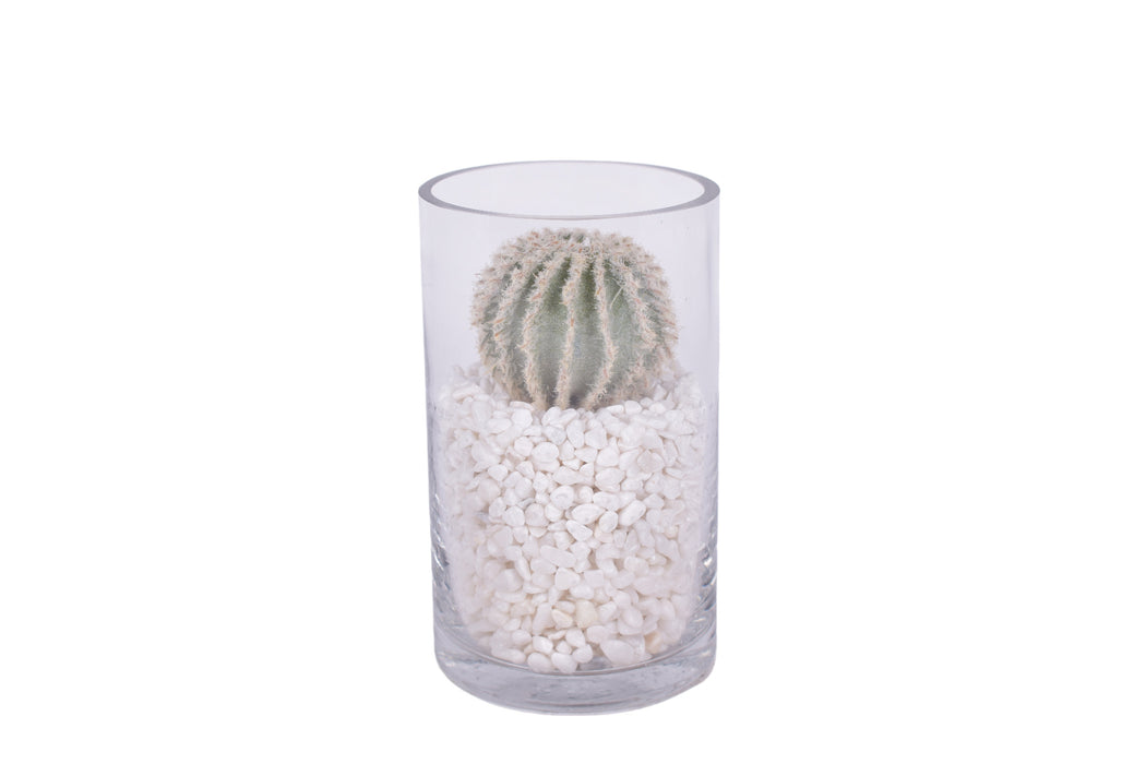 Glass Cylinders with Cactus and White Pebble Arrangements - Set of 3    AR1606