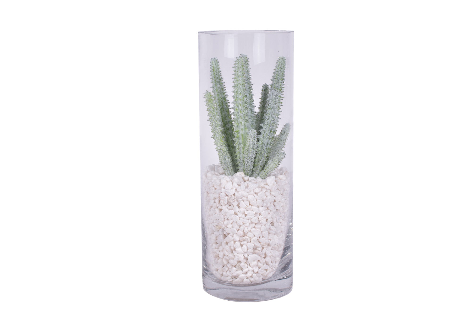 Glass Cylinders with Cactus and White Pebble Arrangements - Set of 3    AR1606