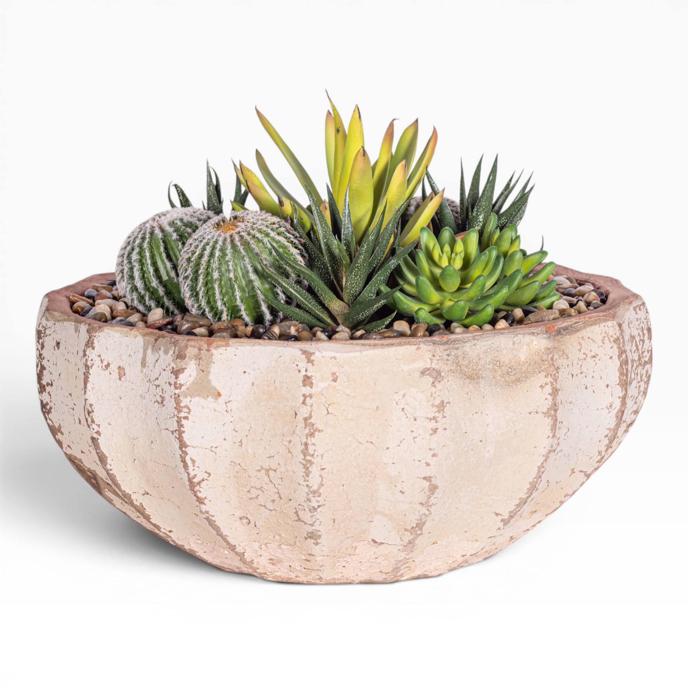 14" Ansel Bowl with Mixed Succulent Arrangement