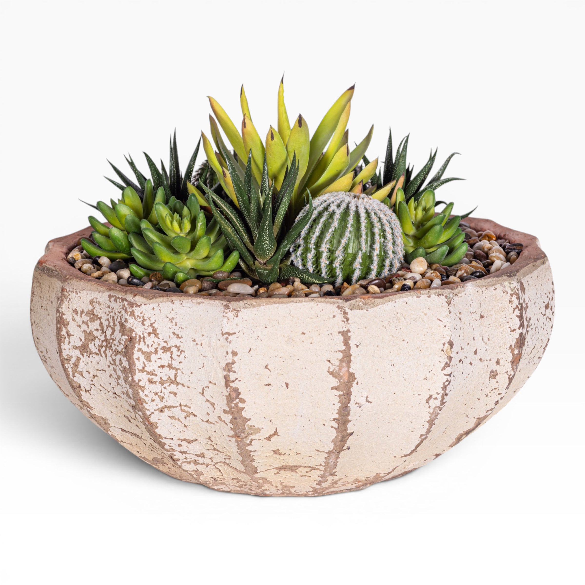 14" Ansel Bowl with Mixed Succulent Arrangement