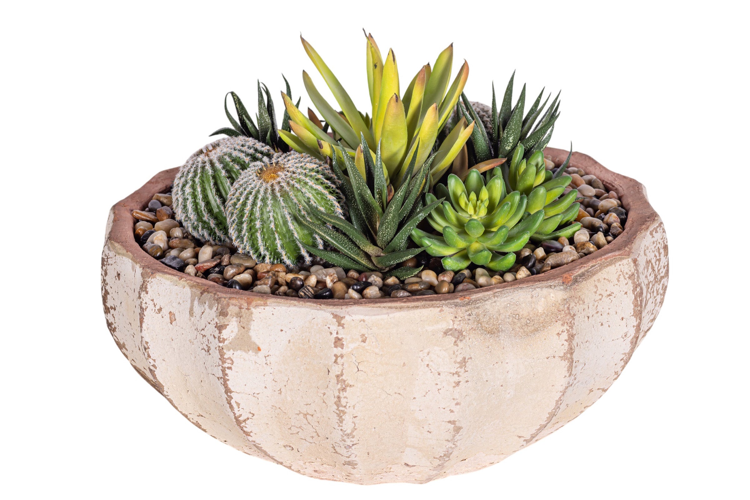 14" Ansel Bowl with Mixed Succulent Arrangement