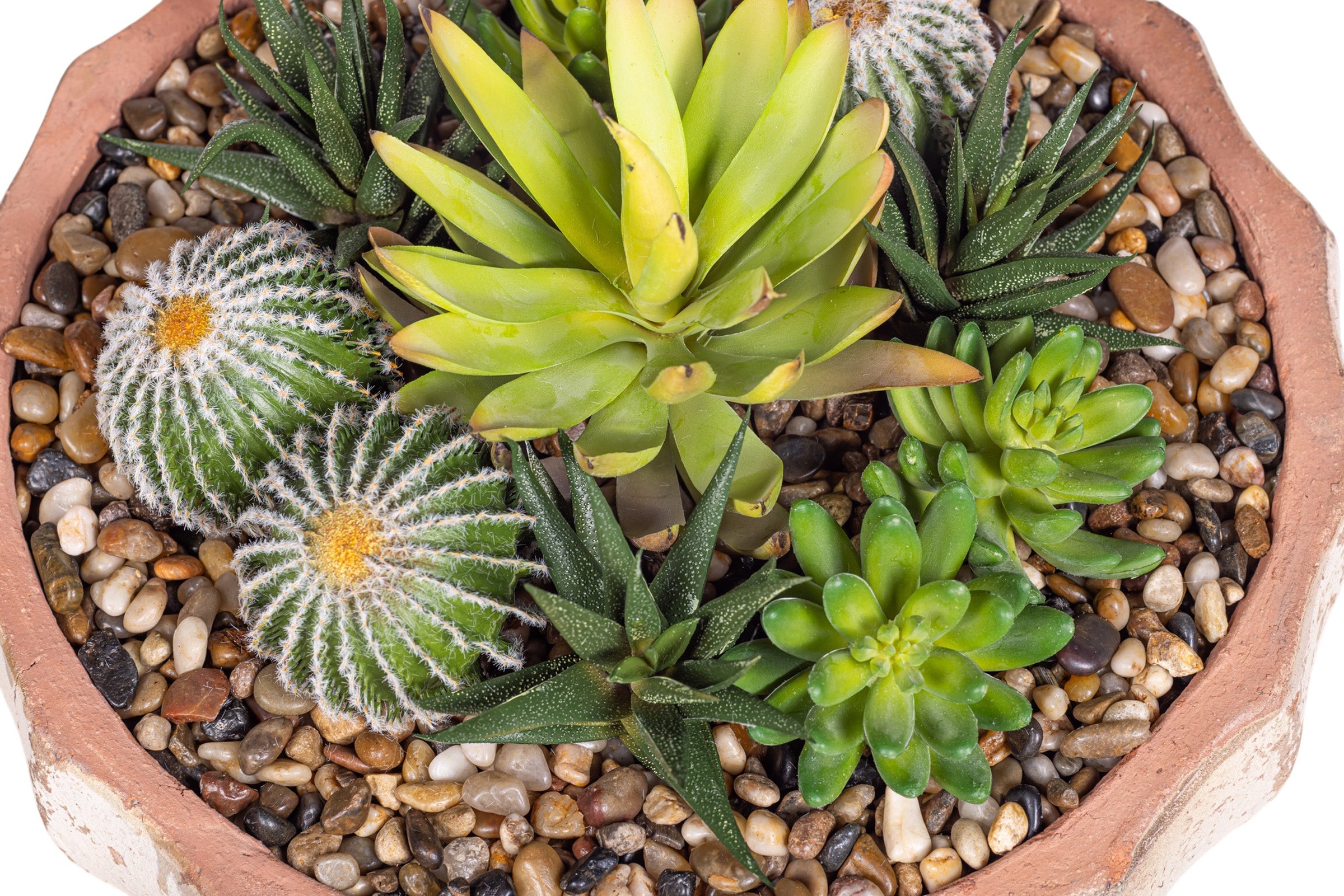 14" Ansel Bowl with Mixed Succulent Arrangement