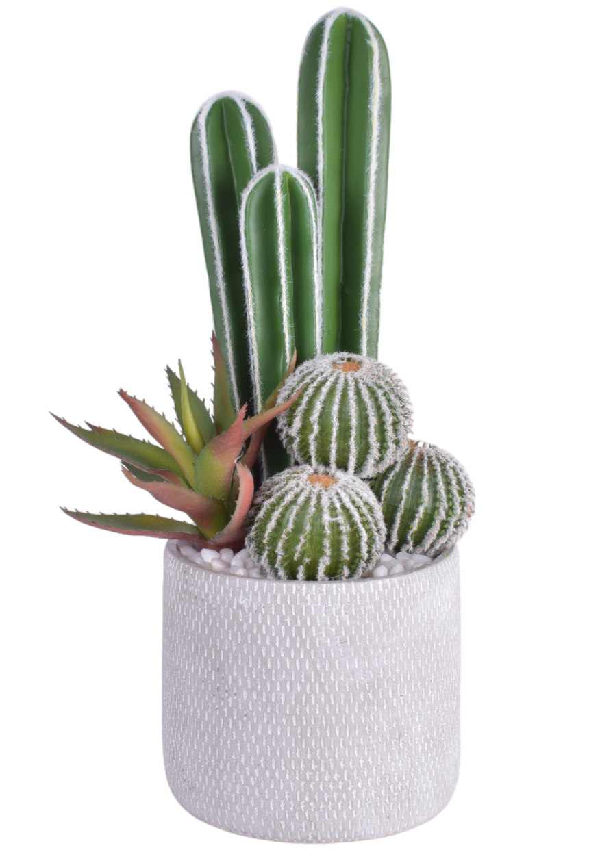 7.5" Weaver Pot with Cactus Arrangement   AR1643