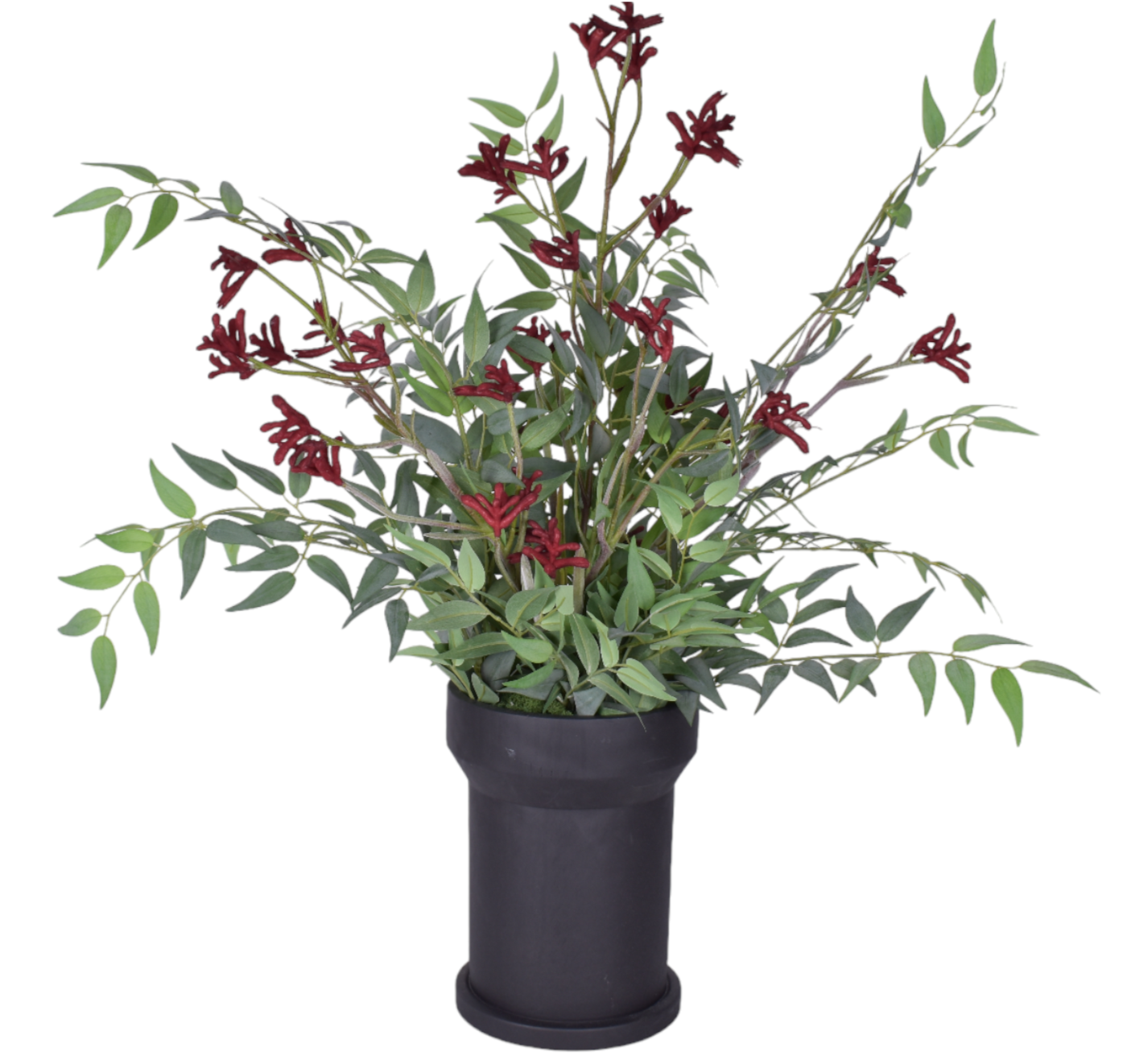 10" Black Rook Pot with Italian Ruscus and Kangaroo Paw Arrangement   AR1646