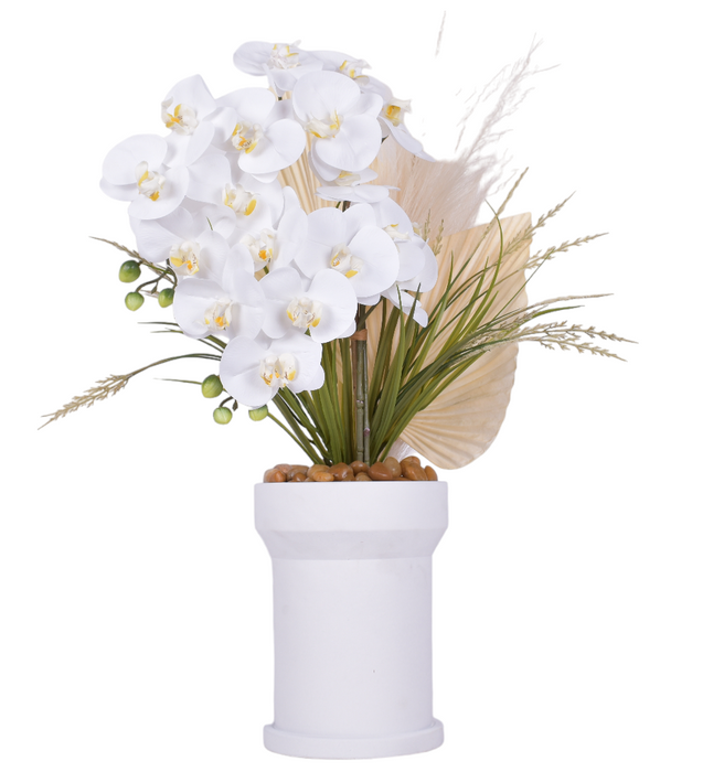 10" White Rook Pot with Orchid Arrangement   AR1649