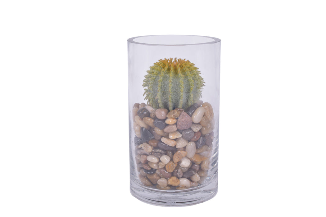 Set of Three Cactus and Mixed Pebble Arrangements in Glass Cylinders    AR1677