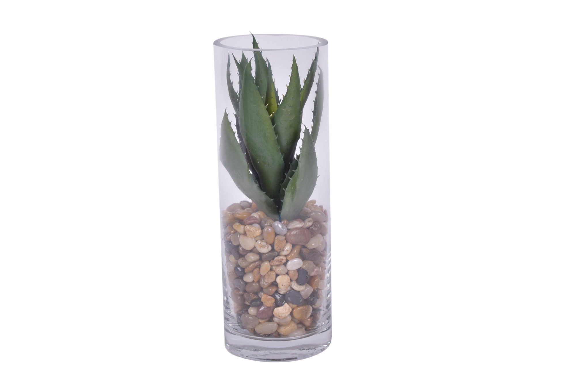 Set of Three Cactus and Mixed Pebble Arrangements in Glass Cylinders    AR1677