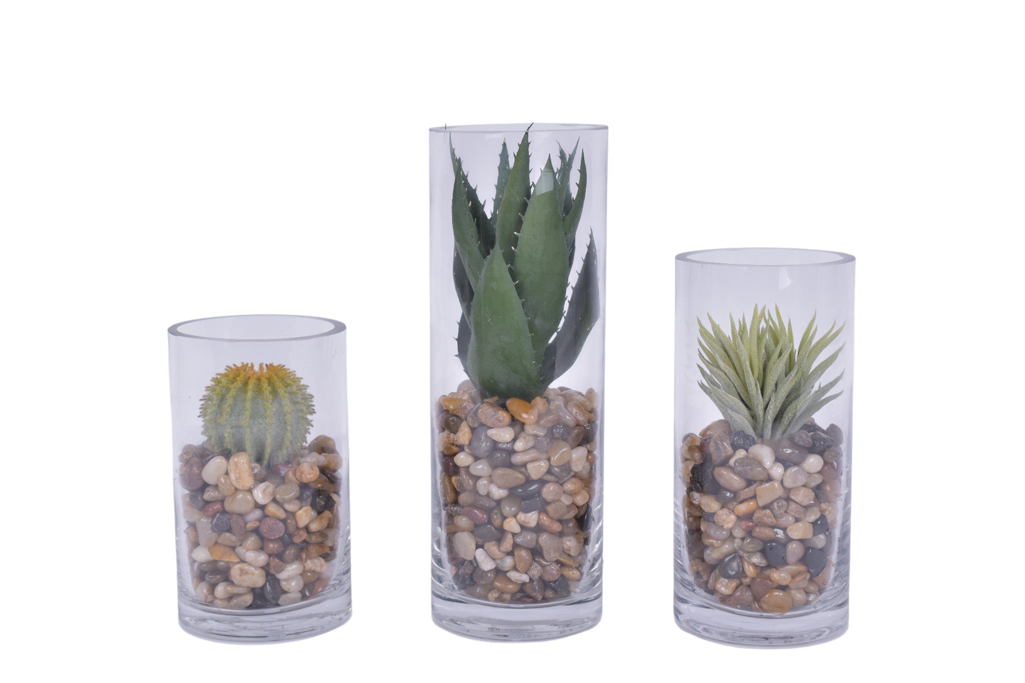 Set of Three Cactus and Mixed Pebble Arrangements in Glass Cylinders    AR1677