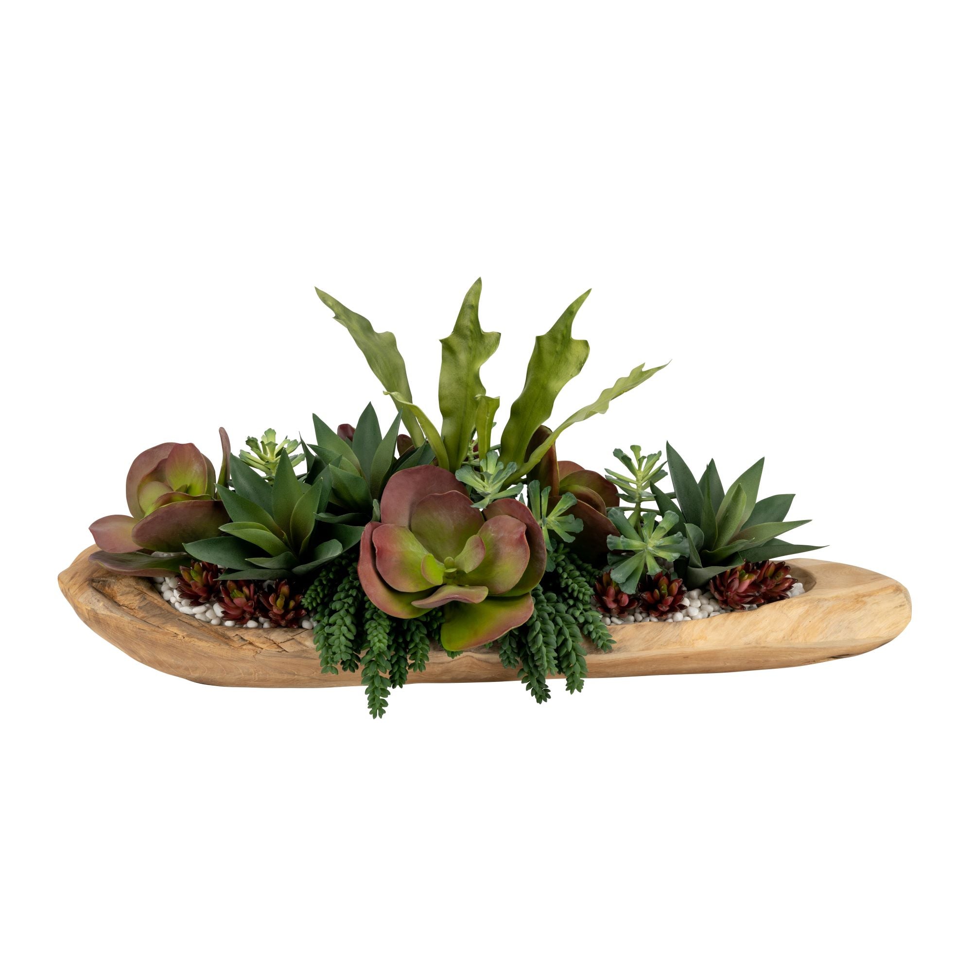 36" Kapal Wood Trough with Succulent Arrangement   AR1681