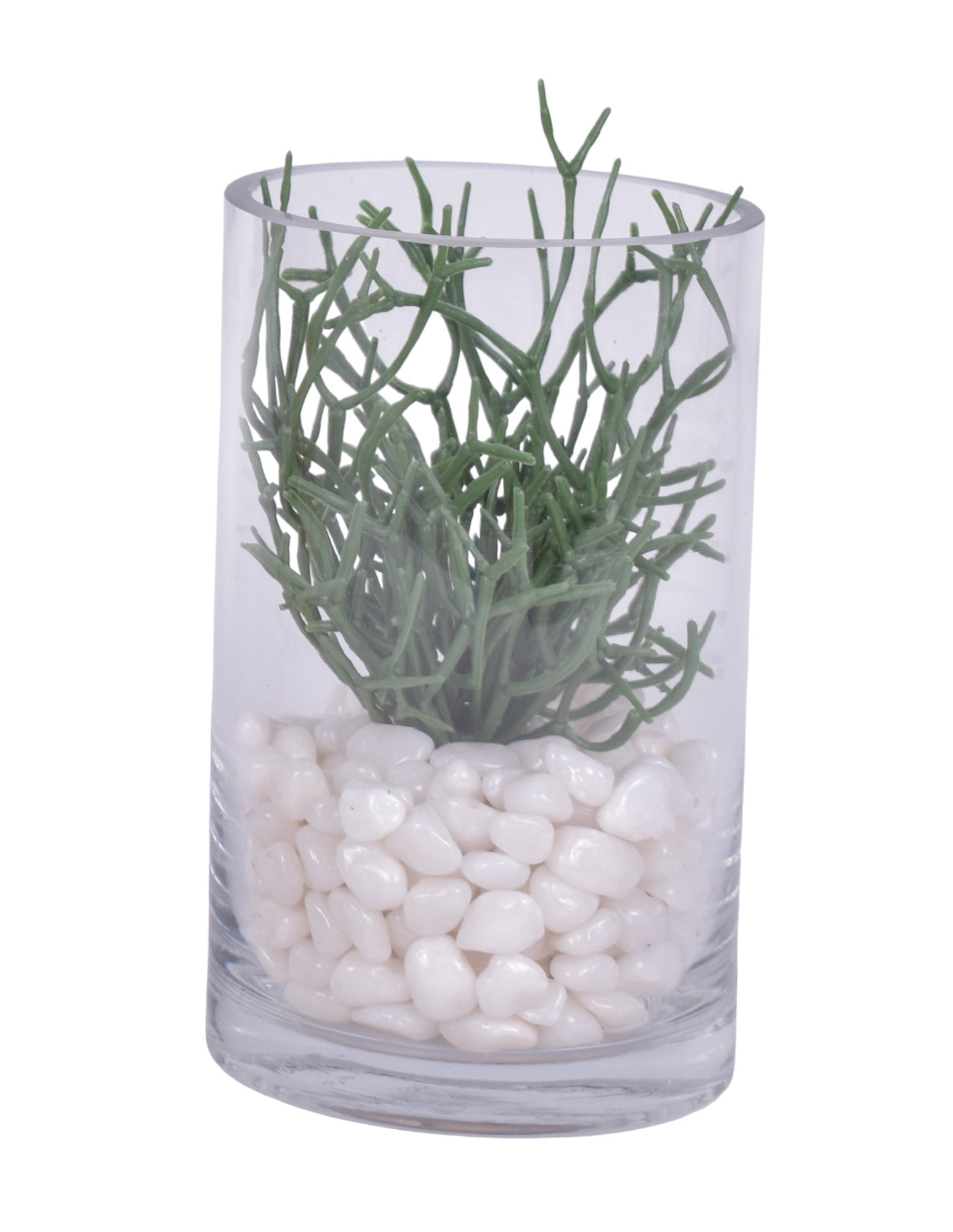 Succulents with White Pebble Arrangements  in Glass Cylinders - Set of 3   AR1684