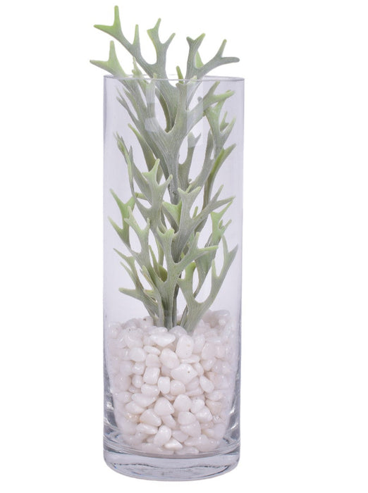 Succulents with White Pebble Arrangements  in Glass Cylinders - Set of 3   AR1684