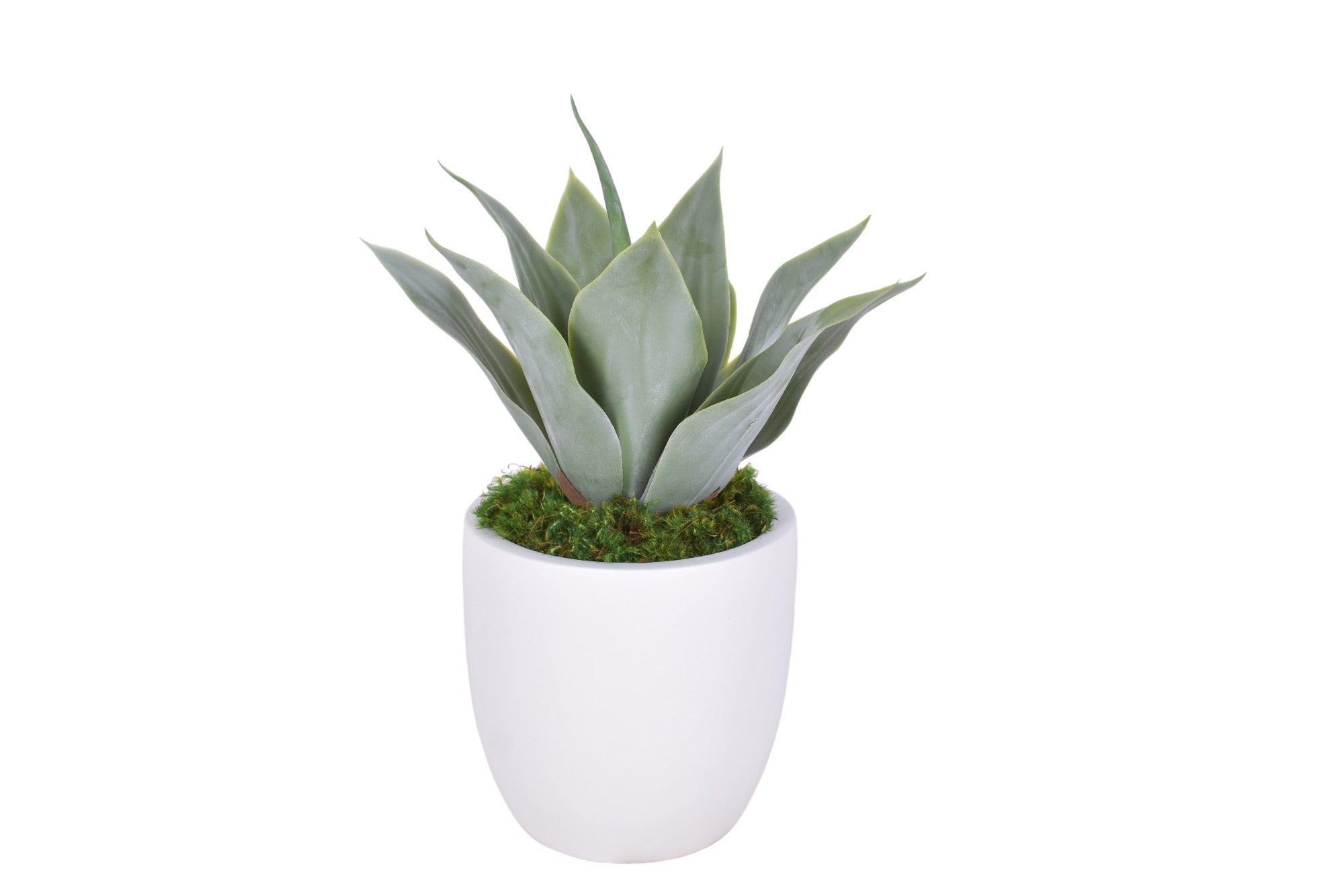 9" White Hayden Planter with UV Succulent   AR1694UV