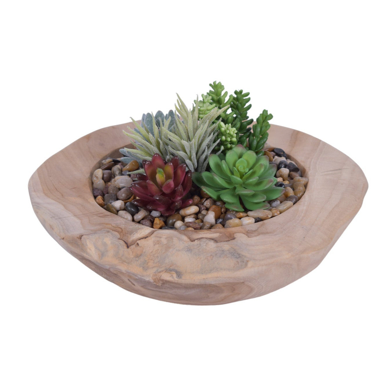 14" Java Teak Wood Bowl with Succulent Arrangement and Mixed Pebble   AR1709
