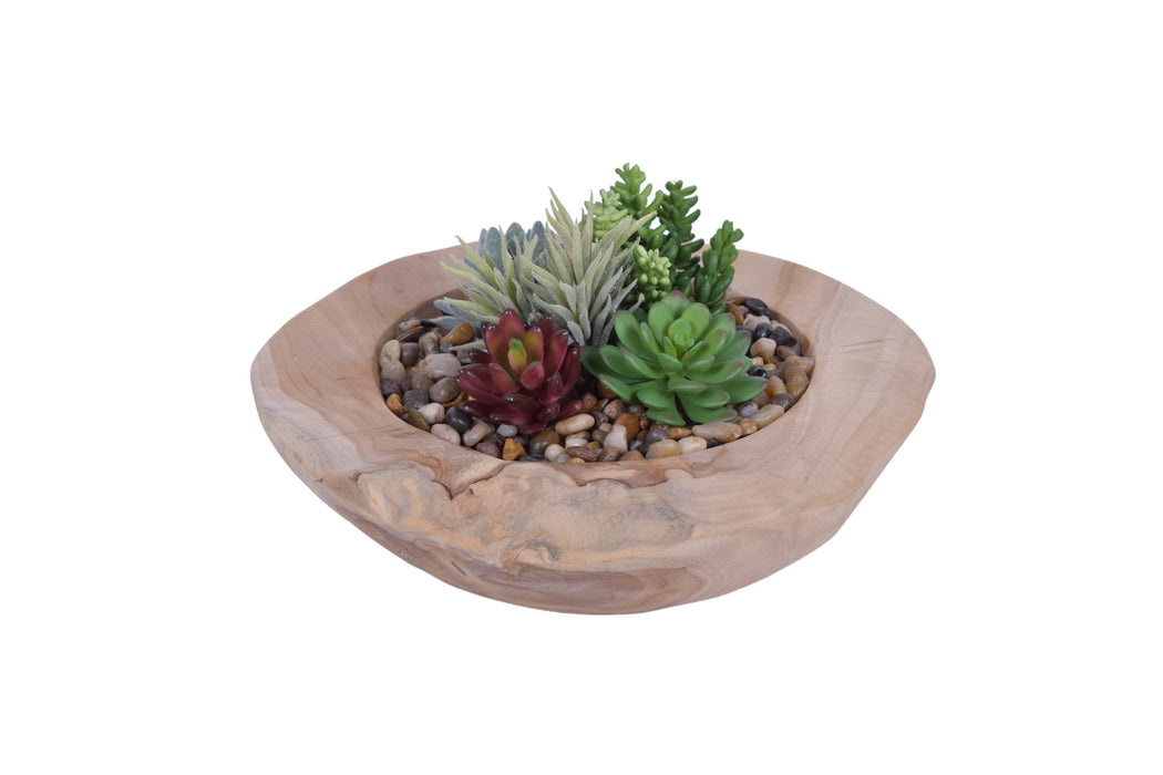 14" Java Teak Wood Bowl with Succulent Arrangement and Mixed Pebble   AR1709