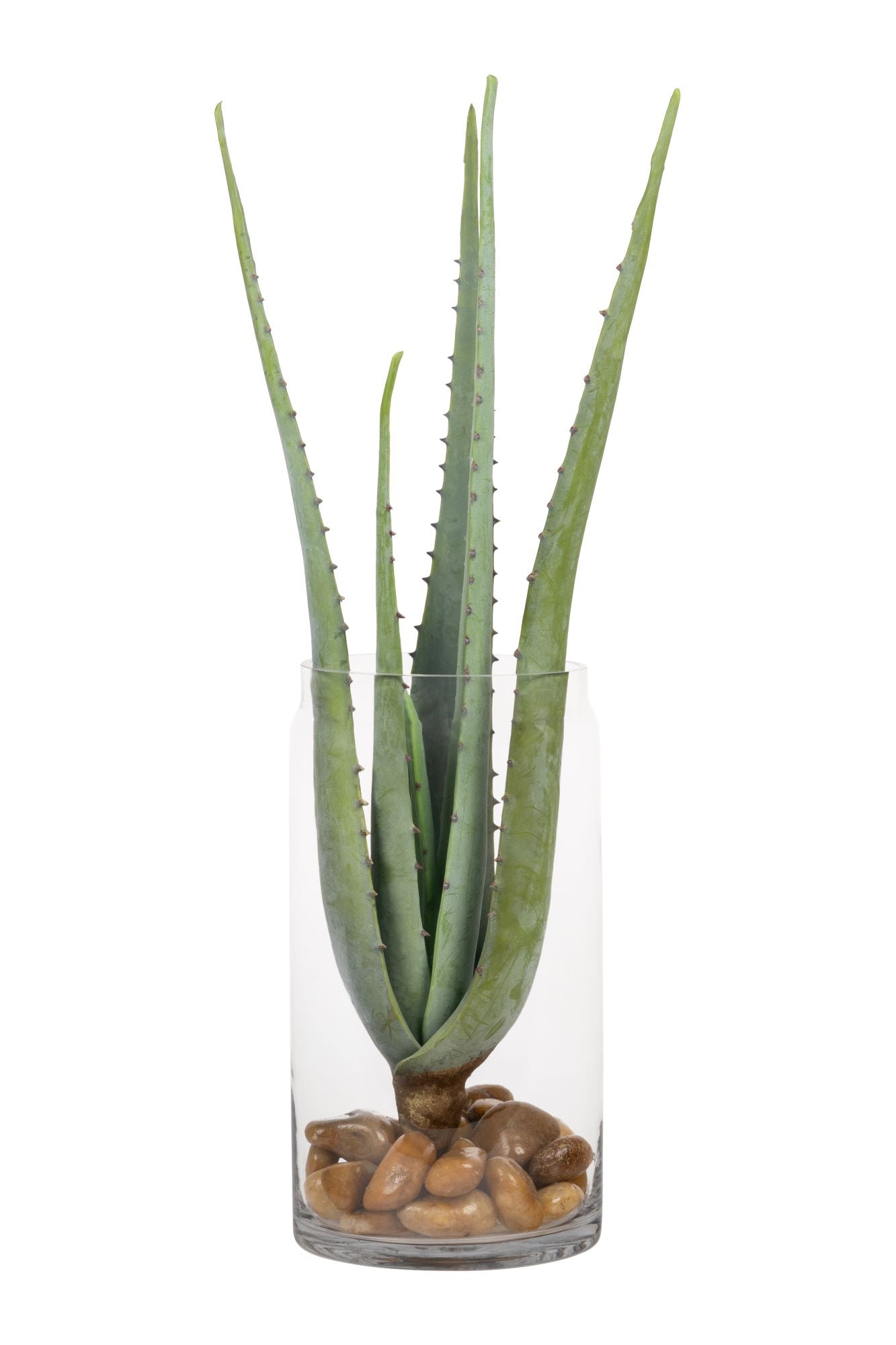 14" Kailee Vase with Aloe   AR1714