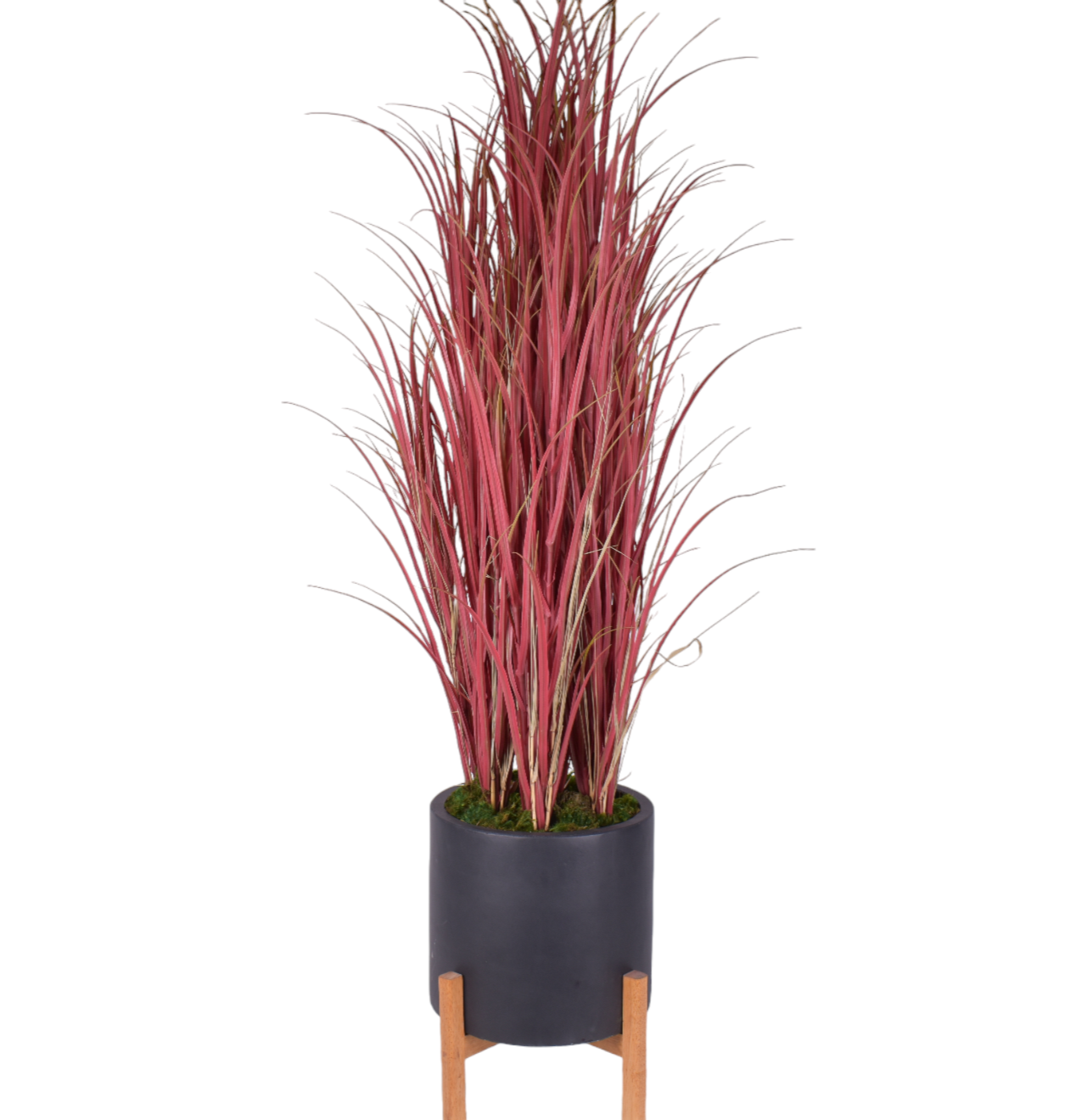 62" UV Protected Red Grass Stem in Large Black Korynn   AR1717UV