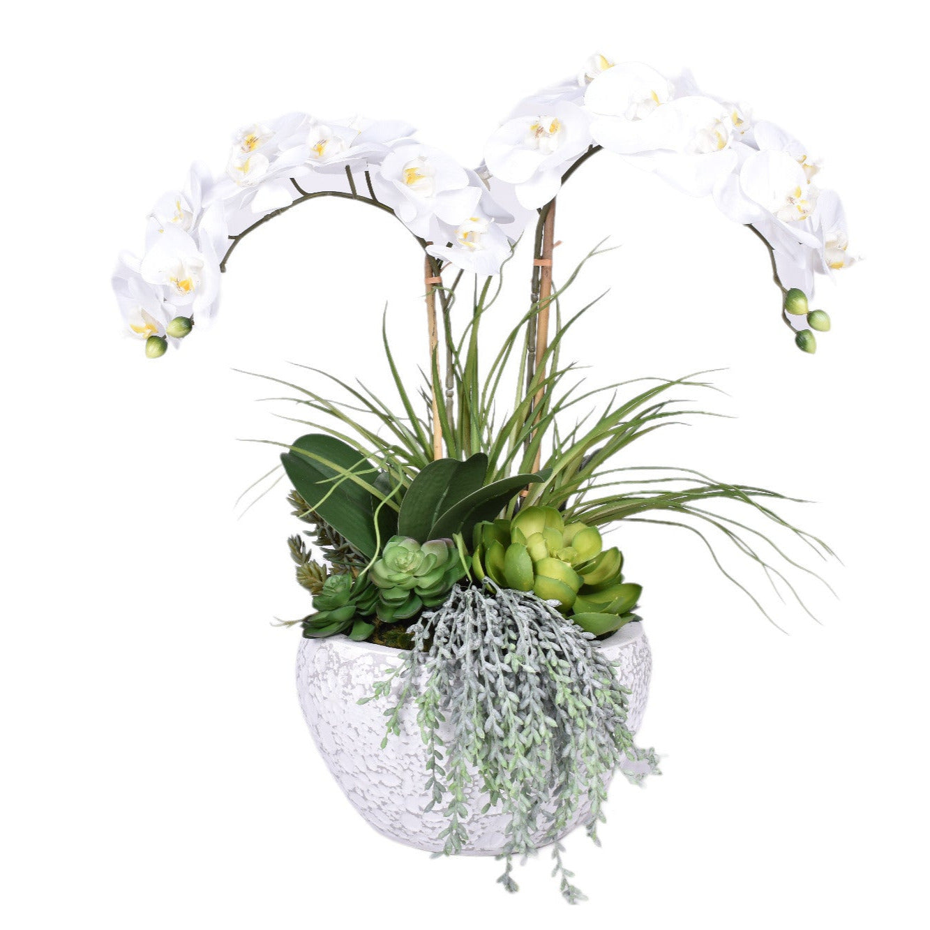 Large Vienna Pot with Orchid Arrangement   AR1722