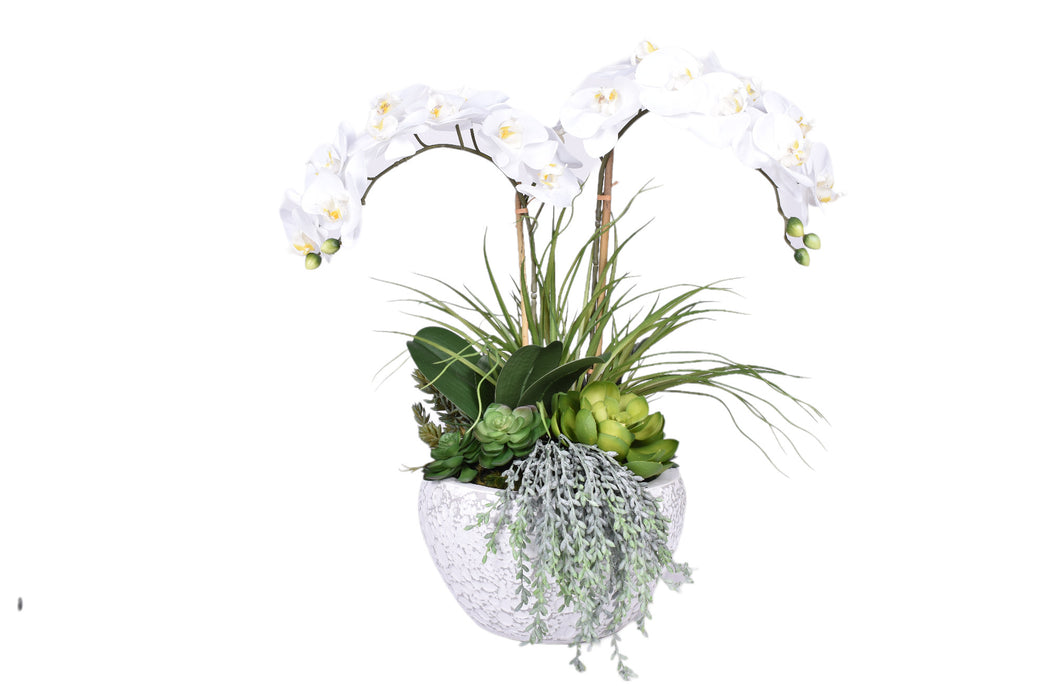 Large Vienna Pot with Orchid Arrangement   AR1722