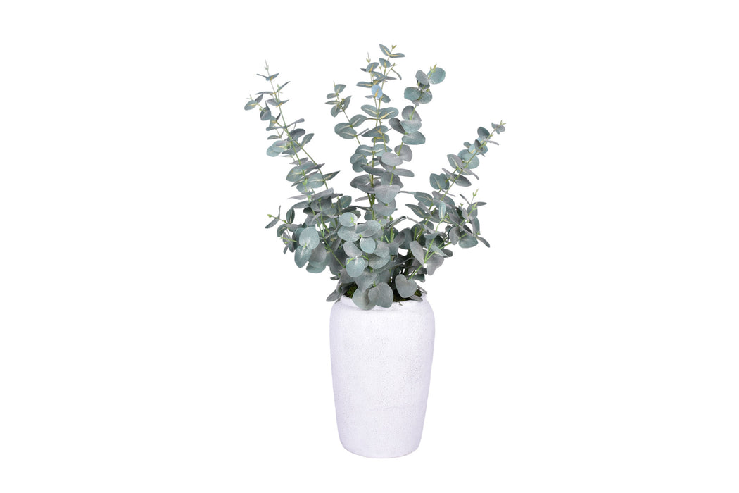 Medium Tyberious Vase with Eucalyptus   AR1729