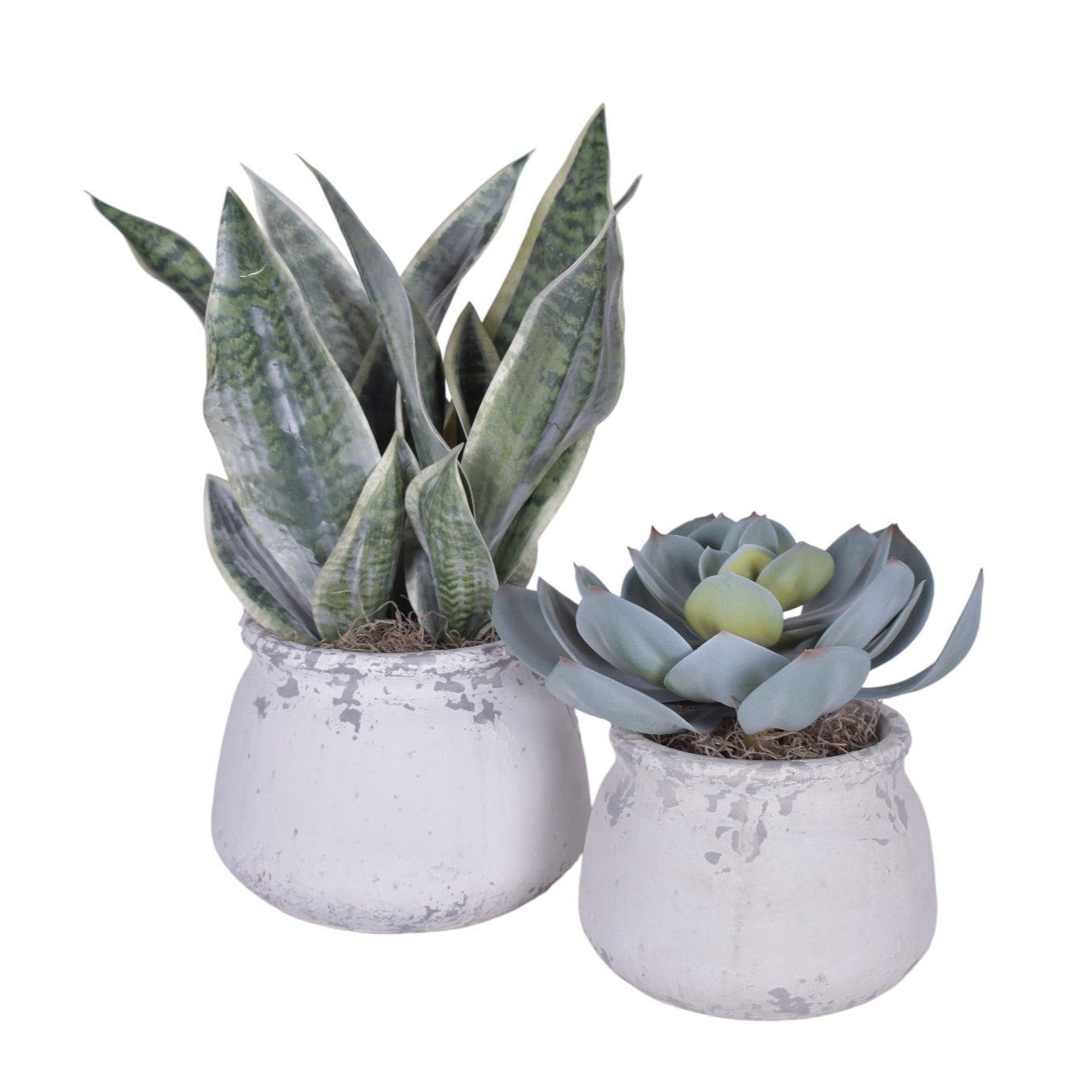 Shabby Pot Arrangement Duo   AR1735