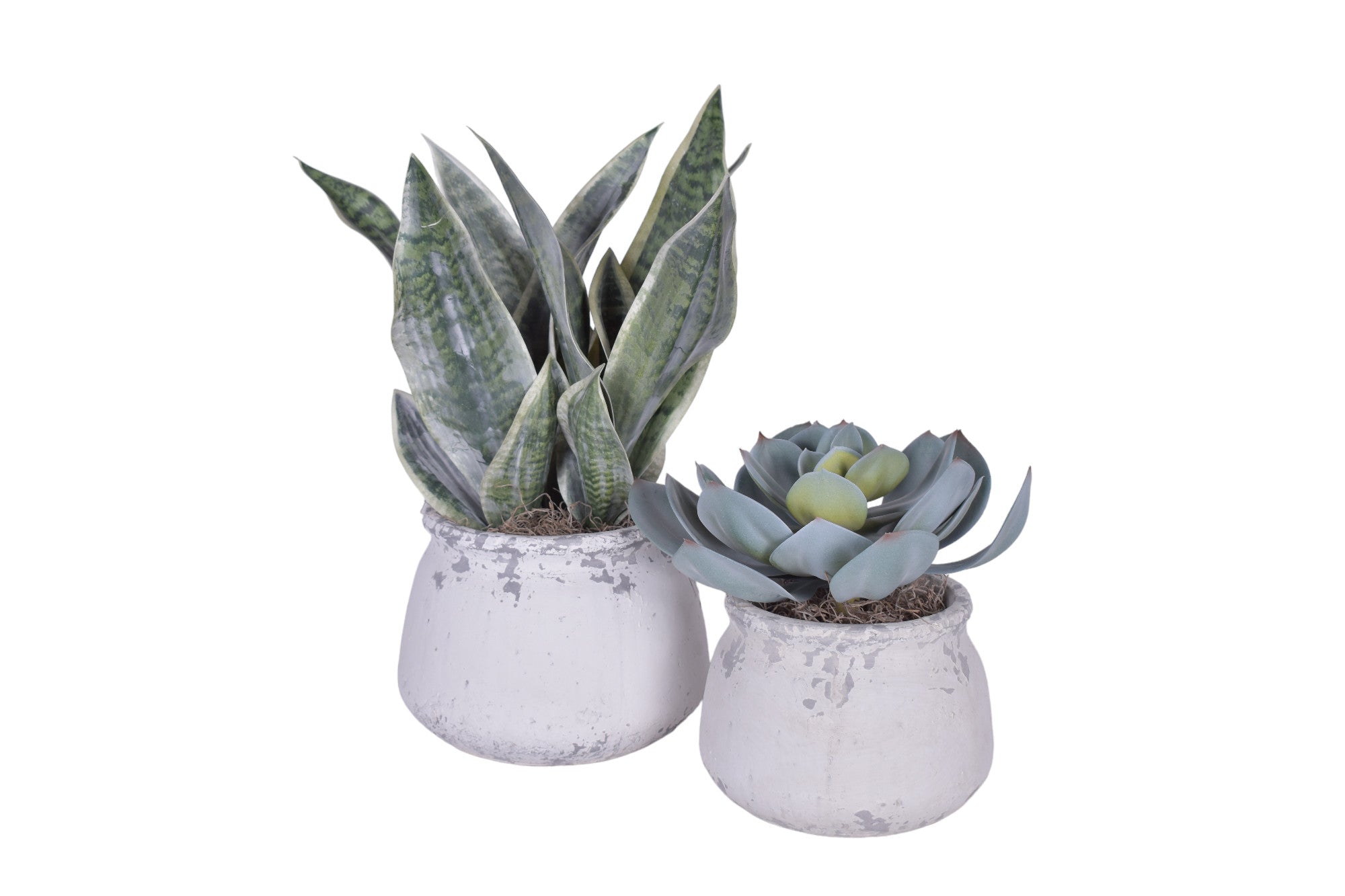 Shabby Pot Arrangement Duo   AR1735