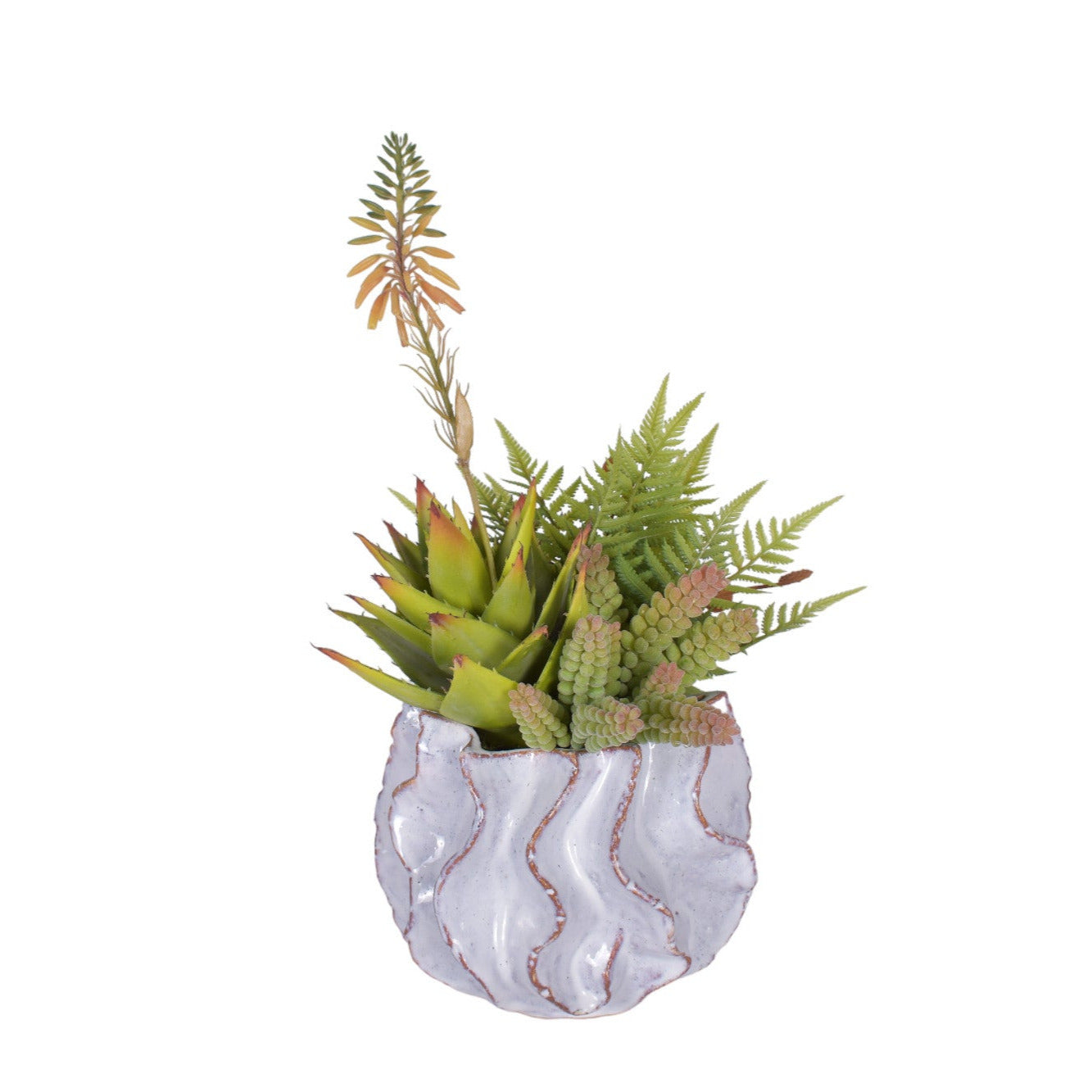 Sono Pot with Succulent Arrangement   AR1744