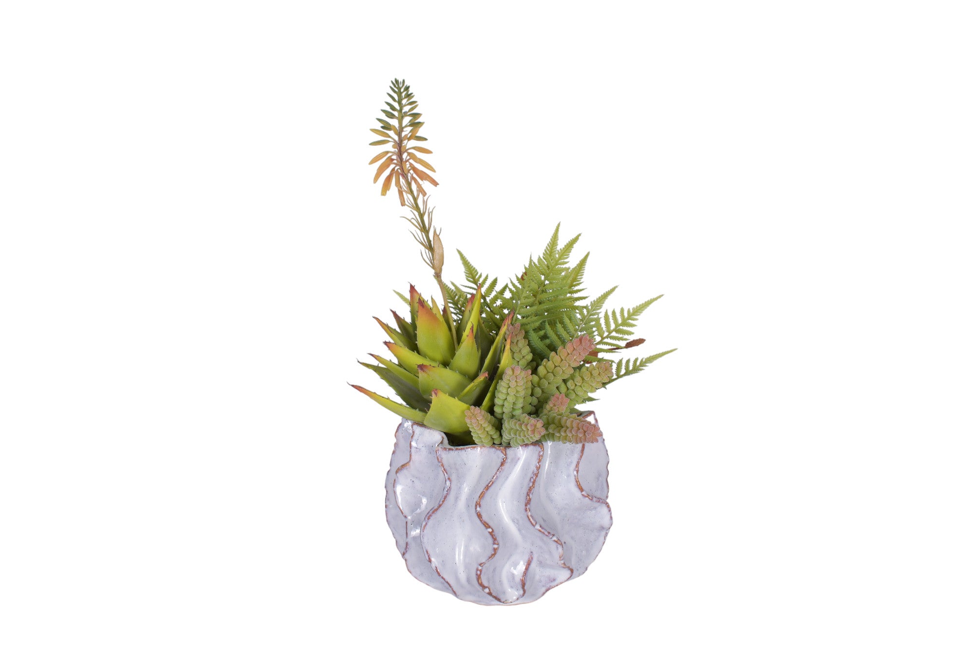 Sono Pot with Succulent Arrangement   AR1744