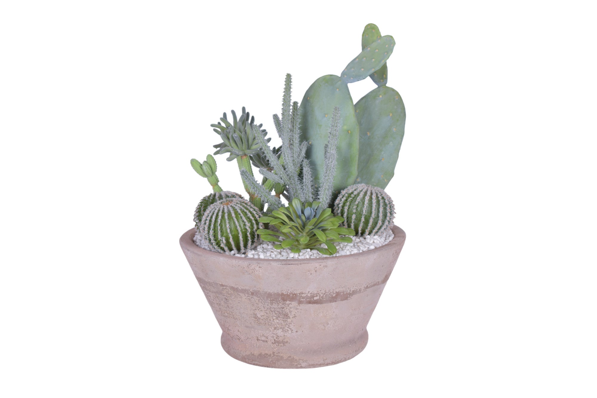 Oaxaca Bowl with Cactus Arrangement   AR1747