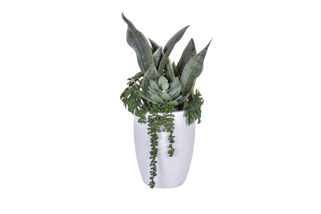 Milani Vase with Sanseveria and Succulents AR1752