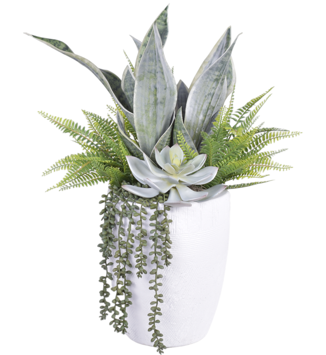 Milani Vase with Sanseveria and Succulents AR1752