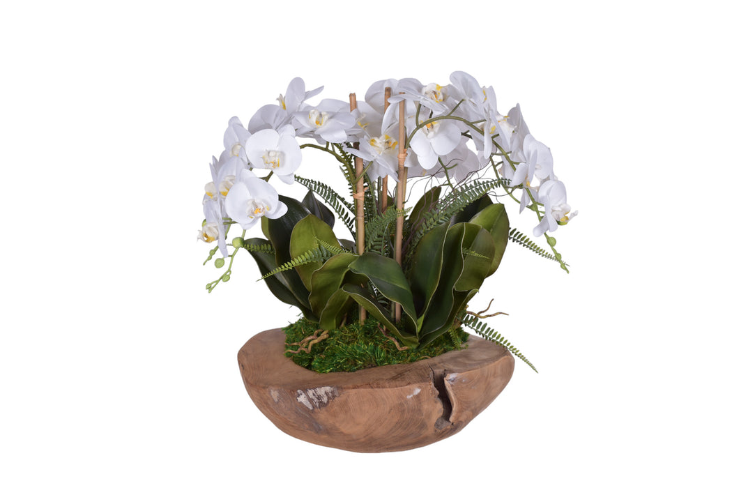 Java Teak Bowl with Orchid Arrangement   AR1755