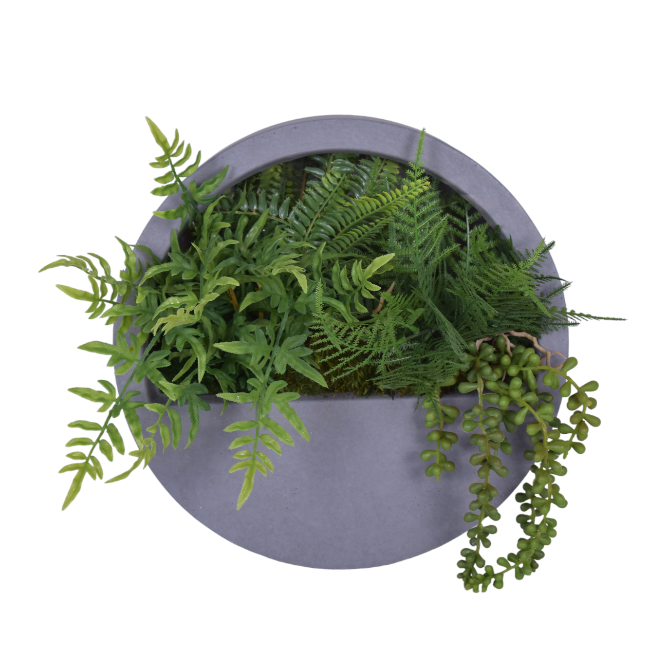 Poppy Round Wall Planter Trio with UV Protected Ferns   AR1764UV