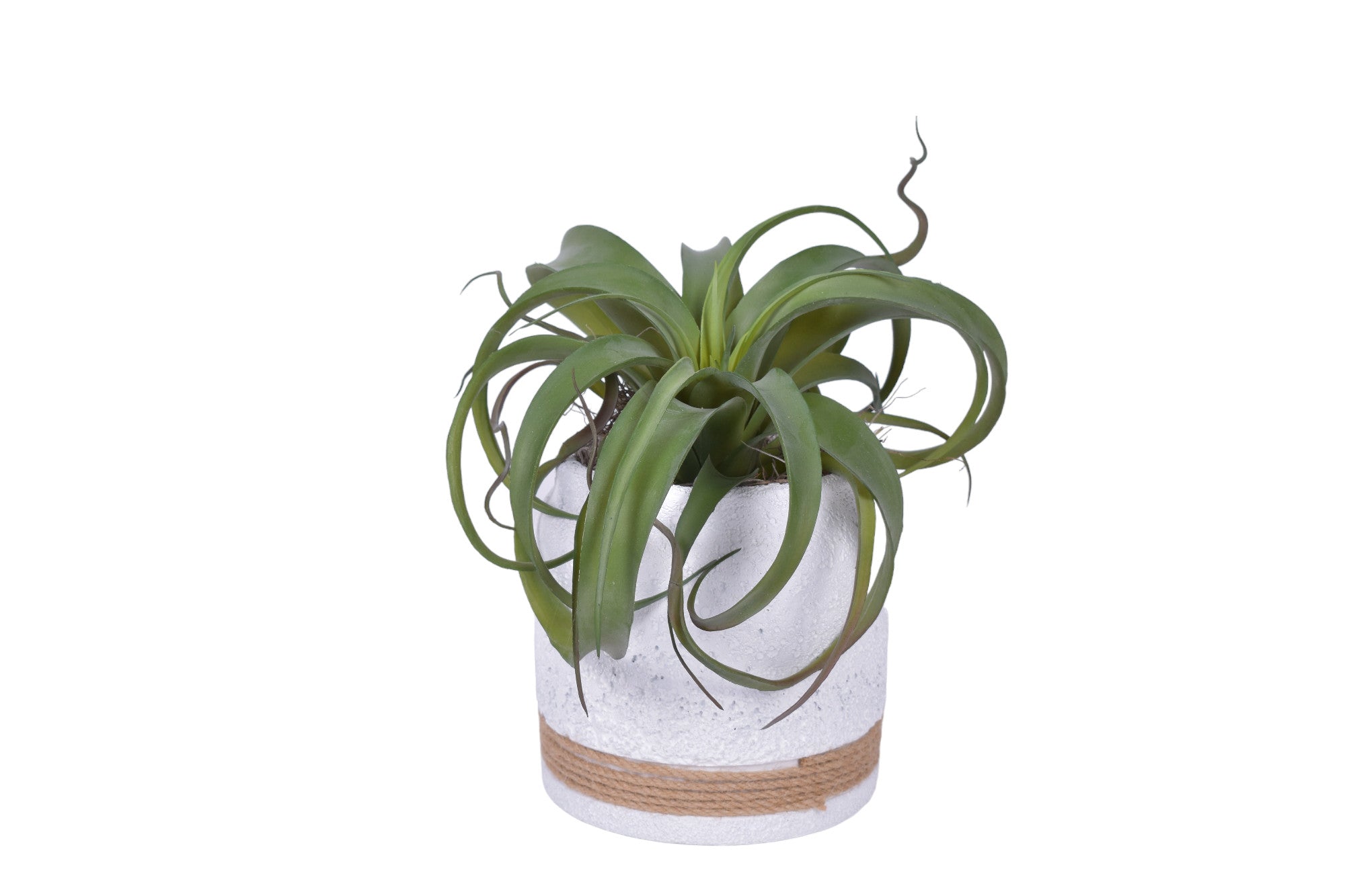 Nash Pot Trio with Airplants and Ferns   AR1772