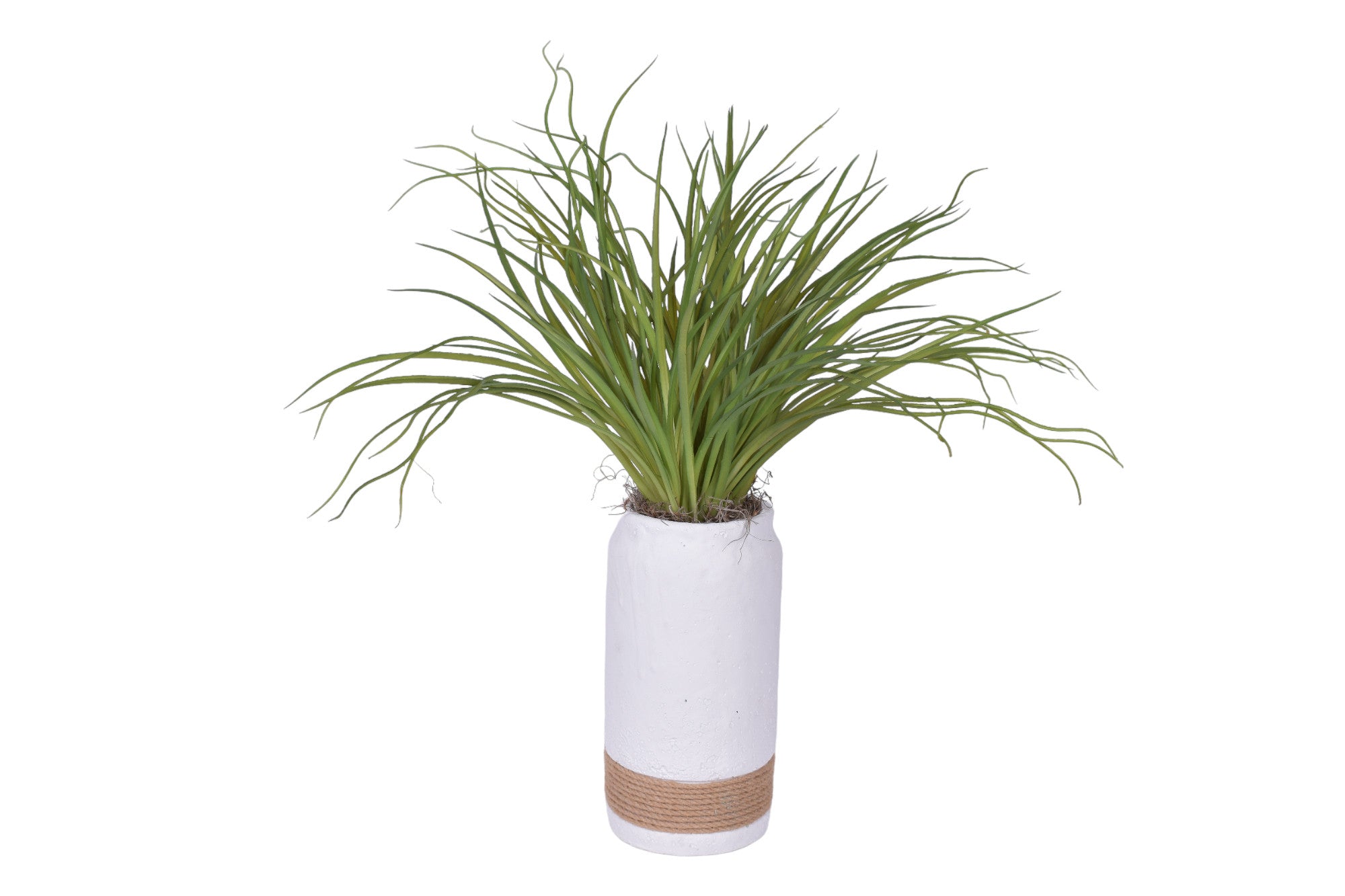 Nash Pot Trio with Airplants and Ferns   AR1772