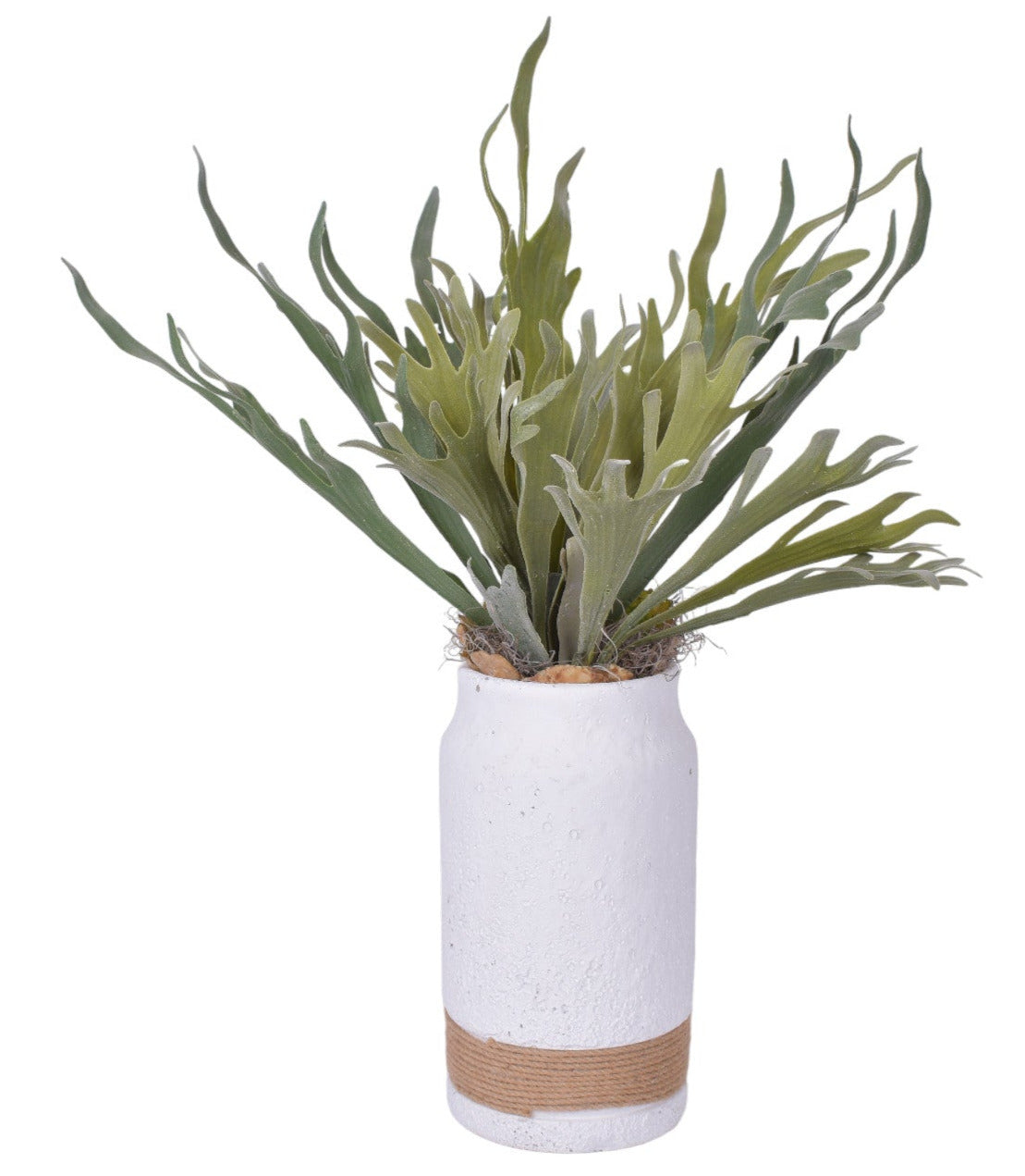 11.5" Nash Pot with Staghorn Fern Arrangement   AR1771