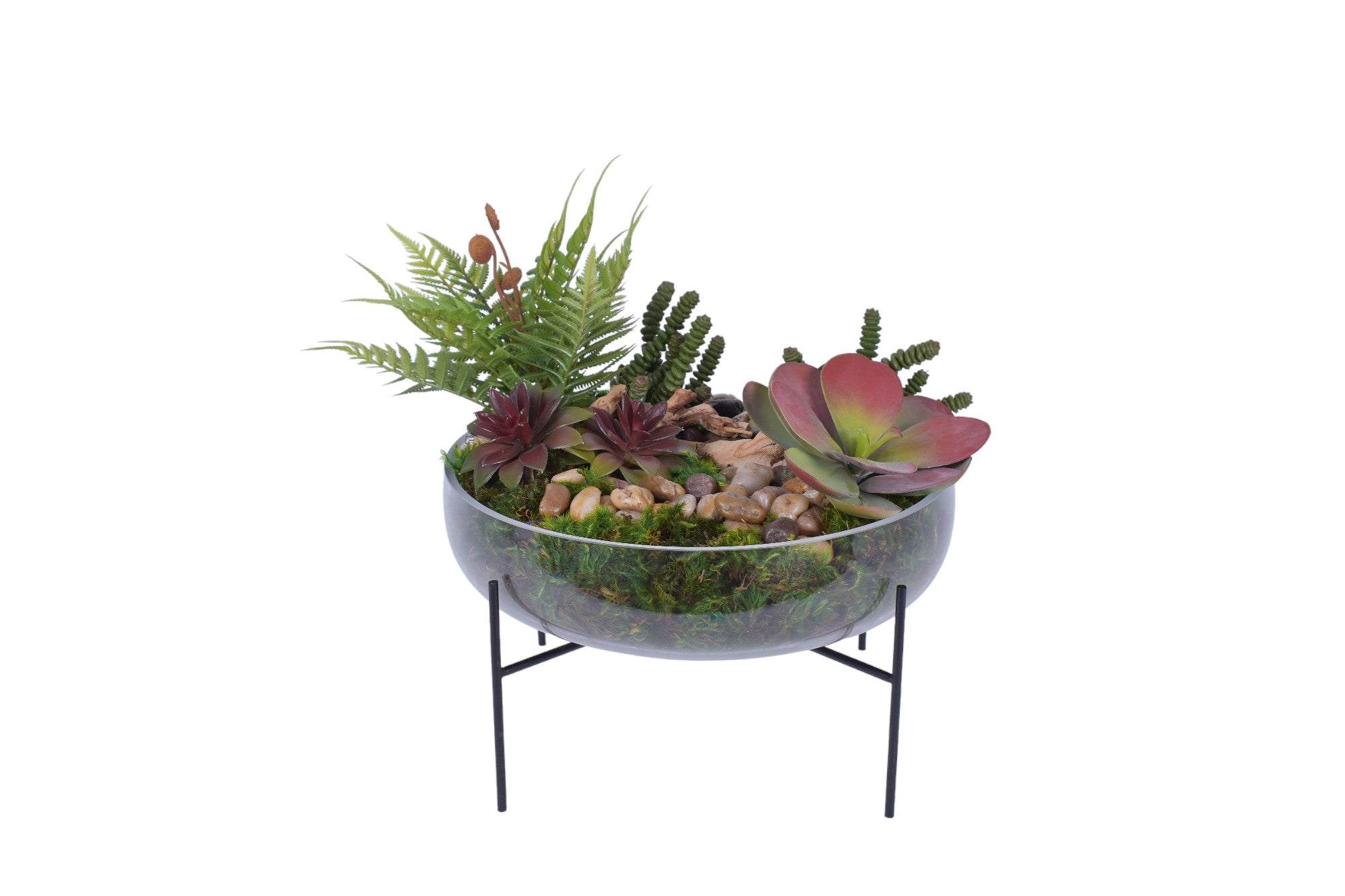 13.5" Sadie Bowl with Succulent Arrangement   AR1773