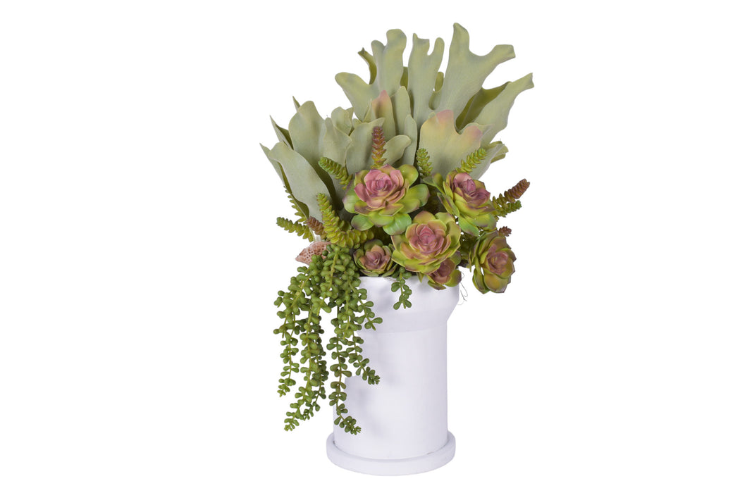 10" White Rook Pot with Succulent Arrangement   AR1774