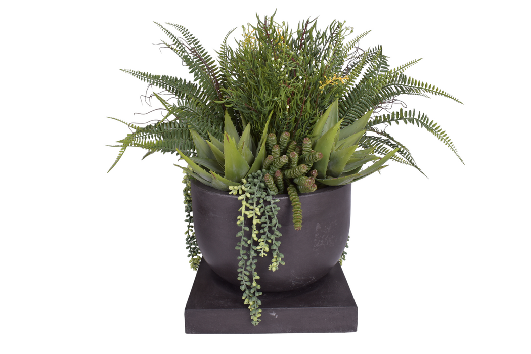 Palmaria Pot with Sqaure Base Collection - Black   CN1254