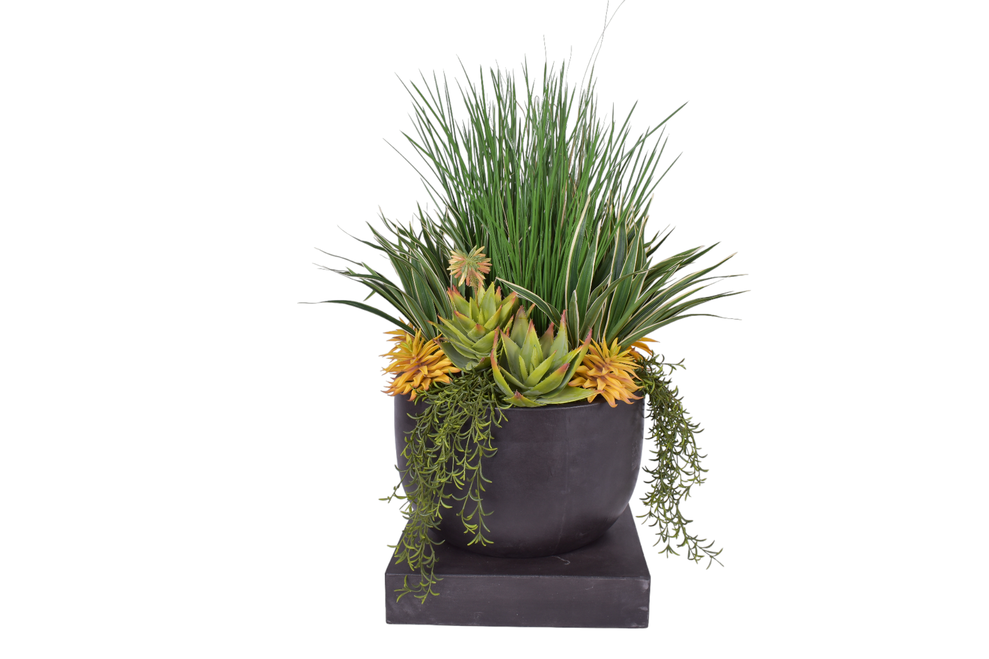 Palmaria Pot with Sqaure Base Collection - Black   CN1254