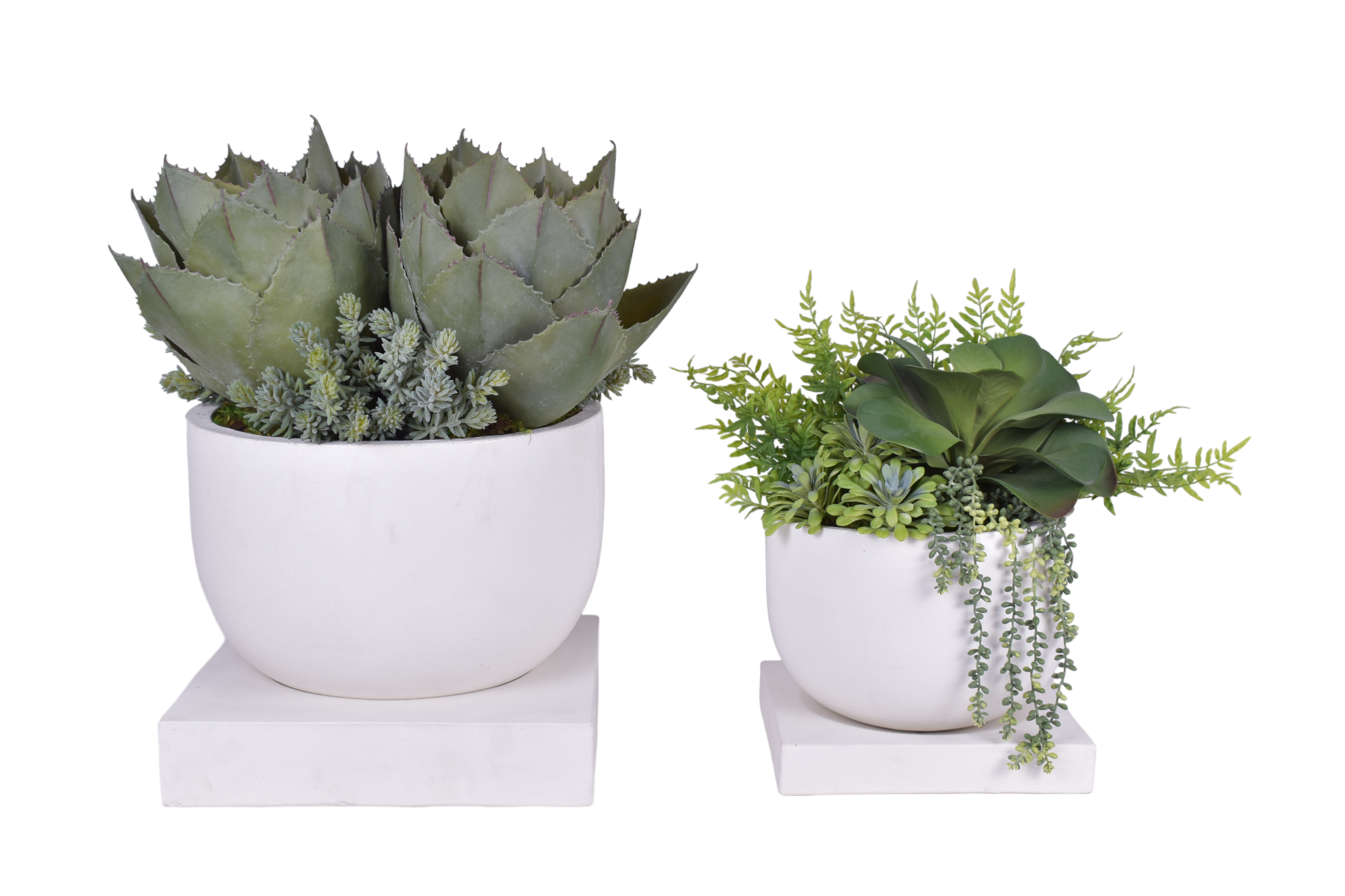 Palmaria Pot with Sqaure Base Collection - White   CN1253